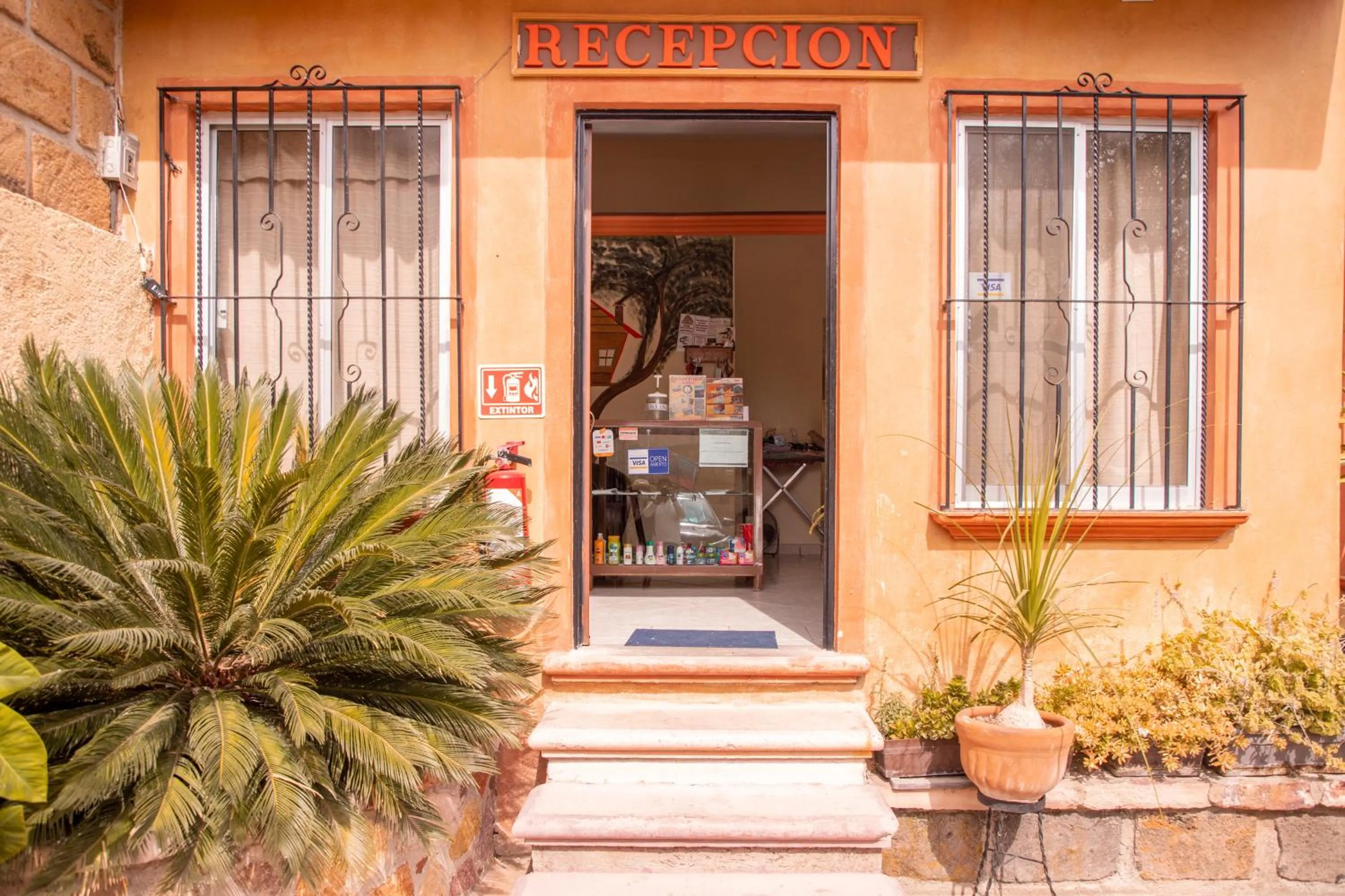 Hotel Casa del Arbol