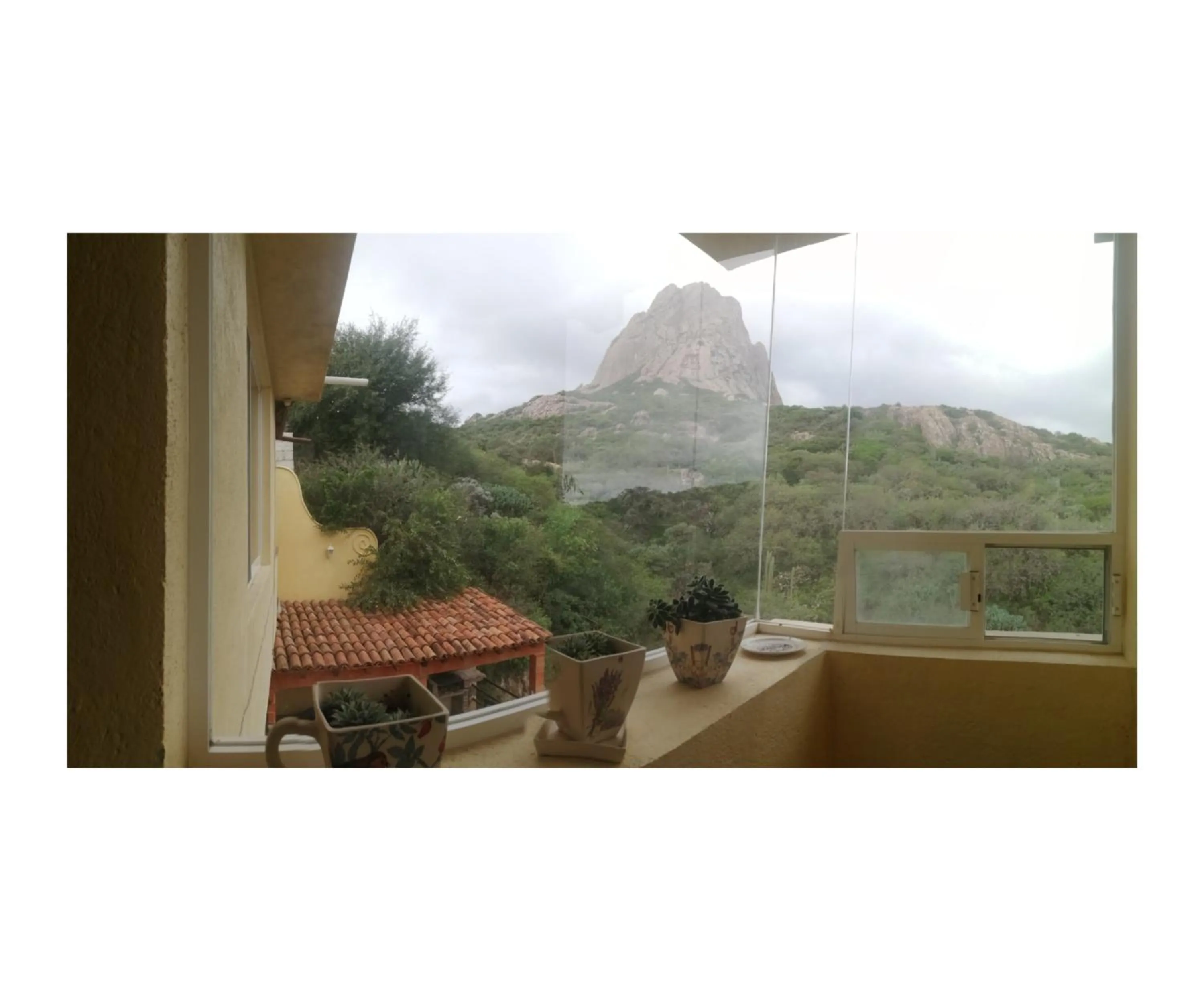 Hotel Casa del Arbol