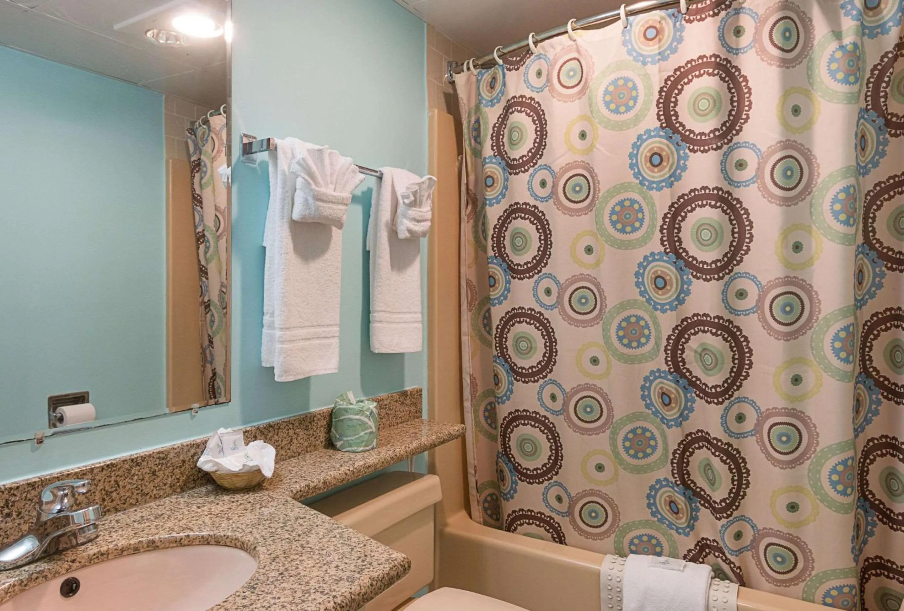 Bathroom in Rodeway Inn Milford - I-84