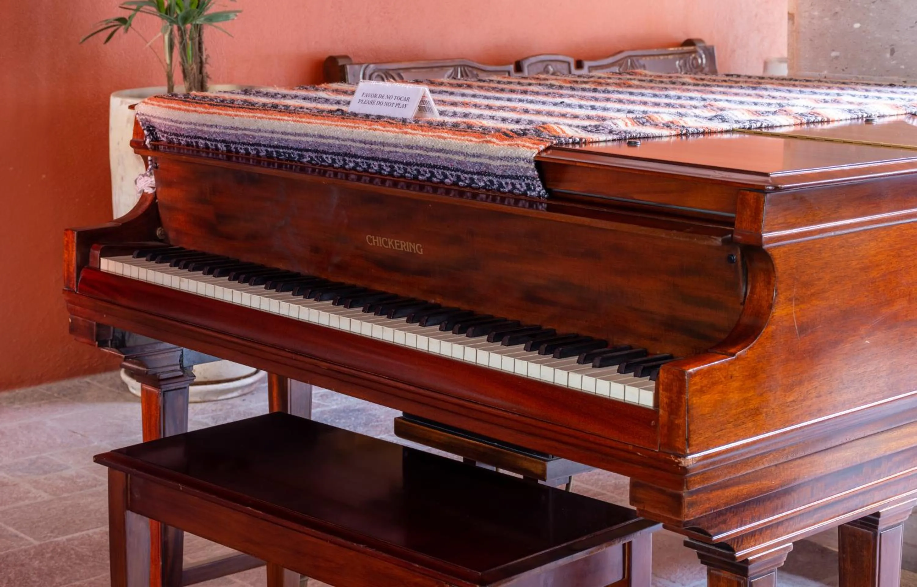 Restaurant/places to eat in Hotel Casa Primavera Boutique & Spa