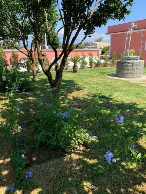 Garden in B&B Mediterraneo