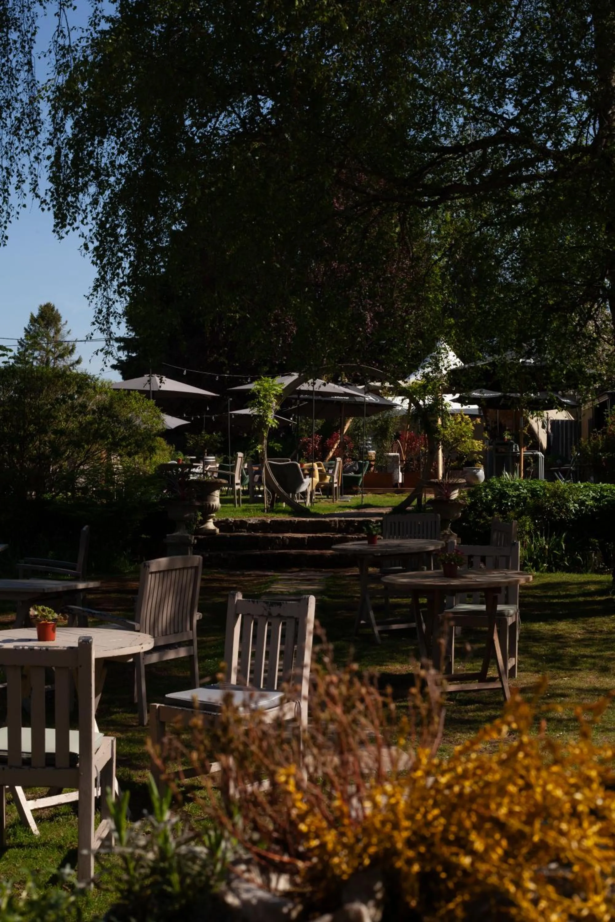 Garden in The Dial House