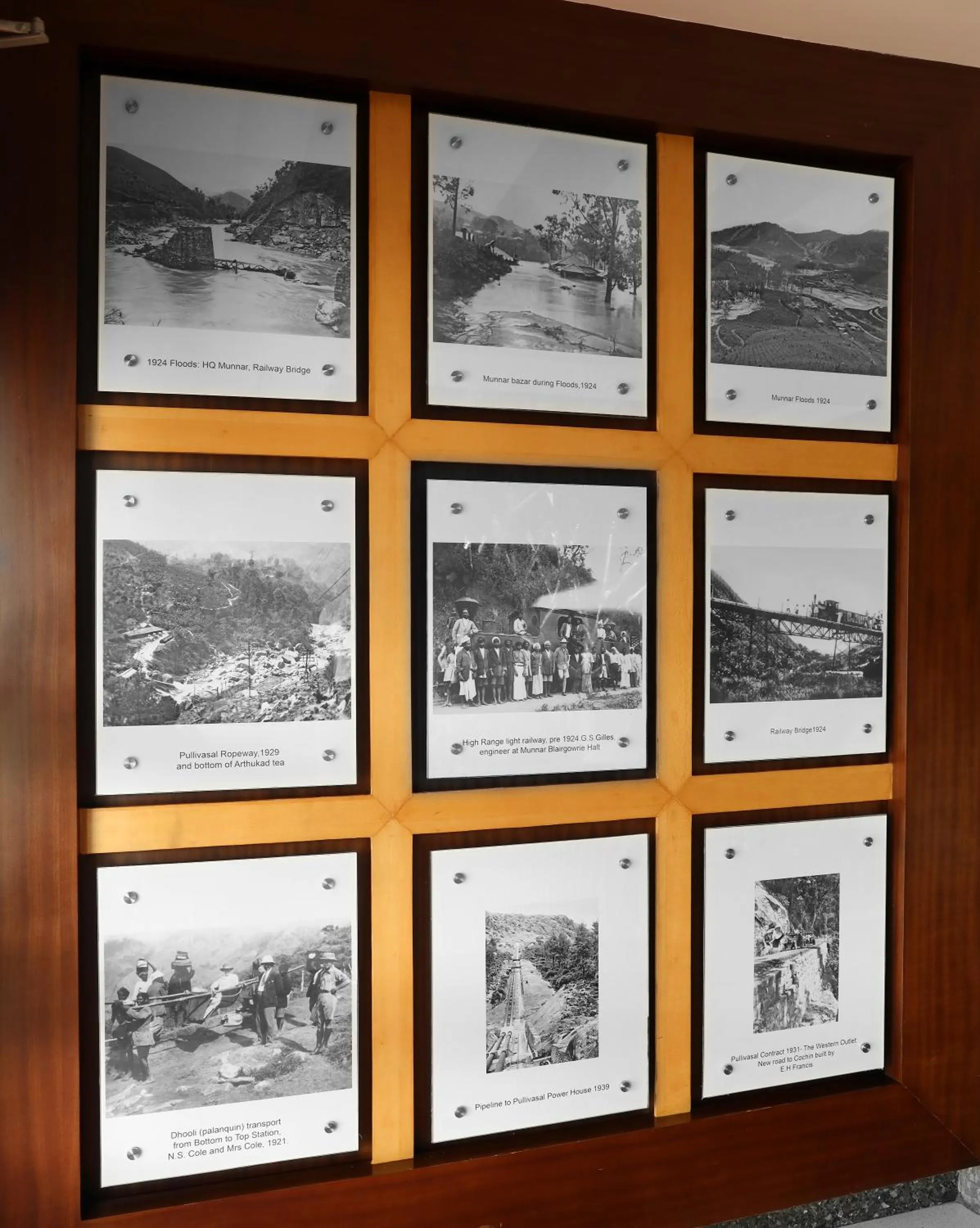 Other in Elysium Garden