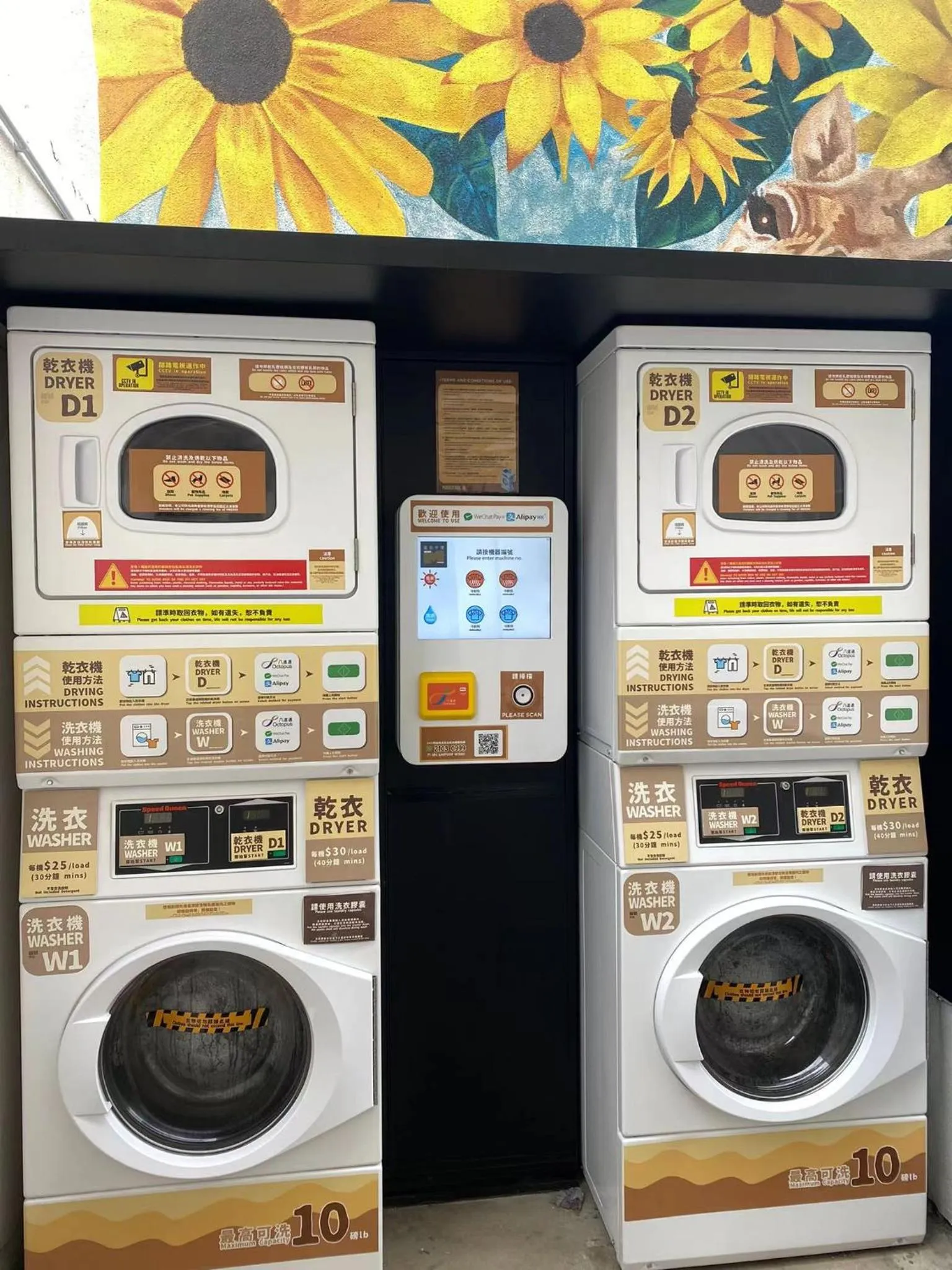 Area and facilities in Mini Central