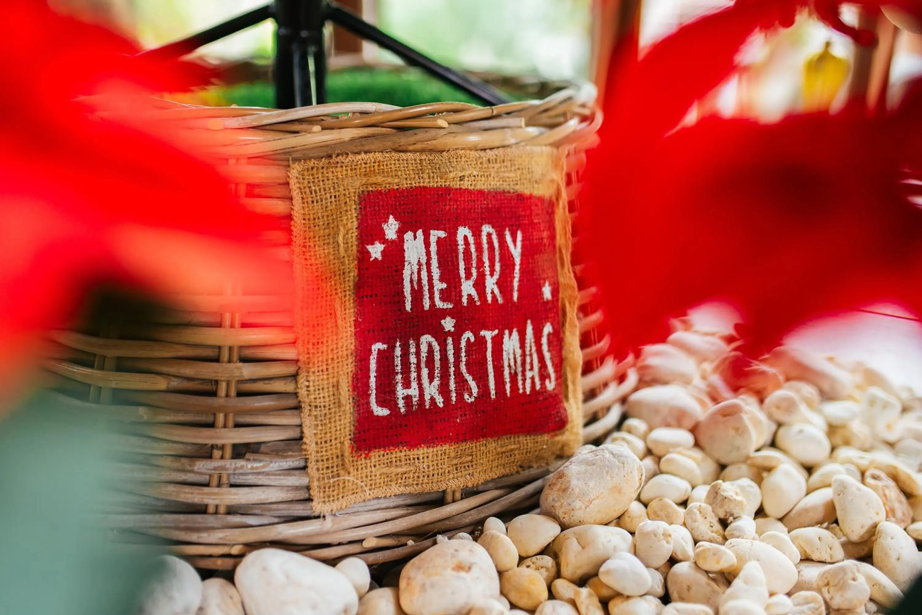 Lobby or reception in Thai Modern Resort & Spa "Newly Renovated"