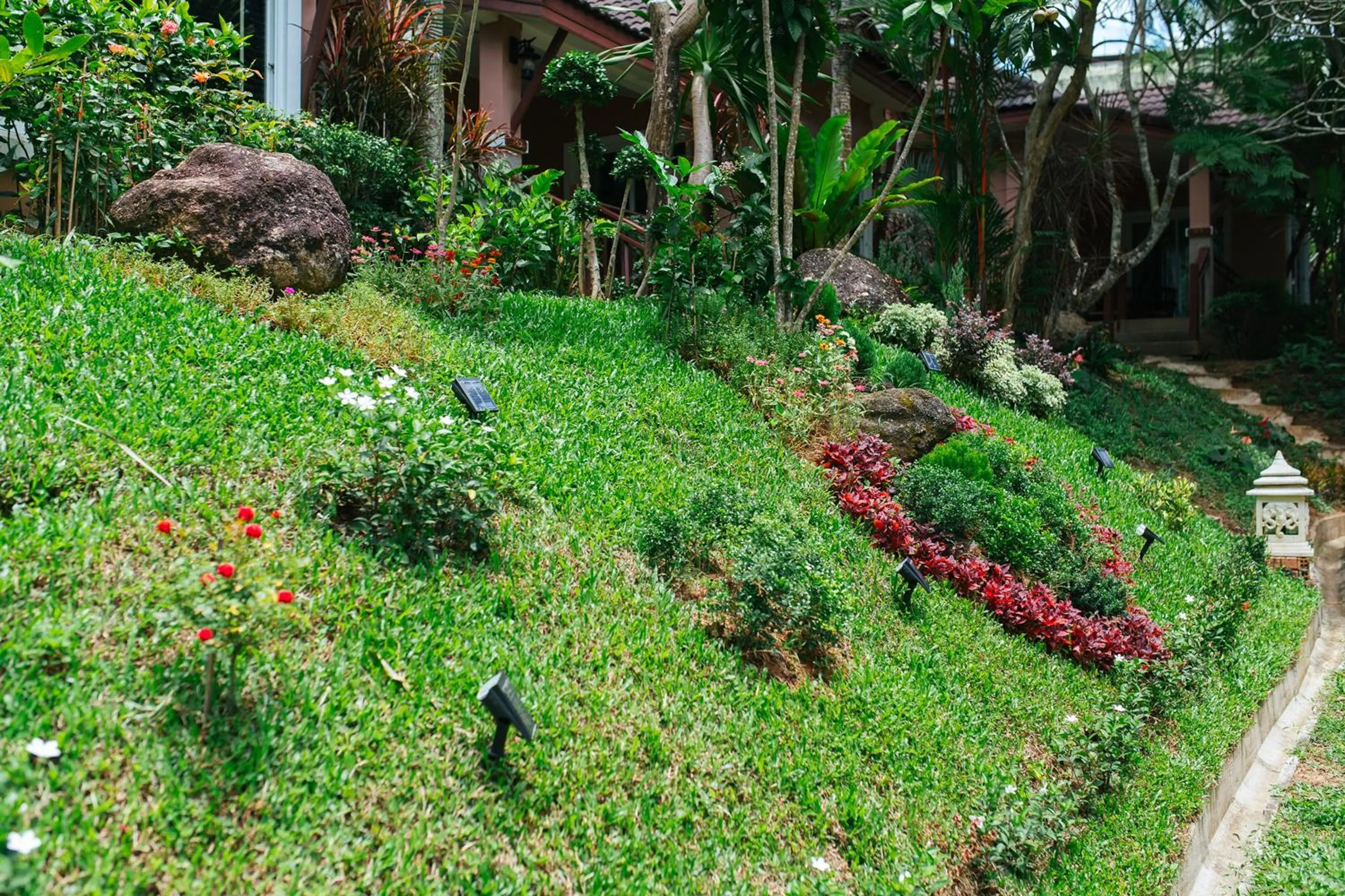 Area and facilities in Thai Modern Resort & Spa "Newly Renovated"