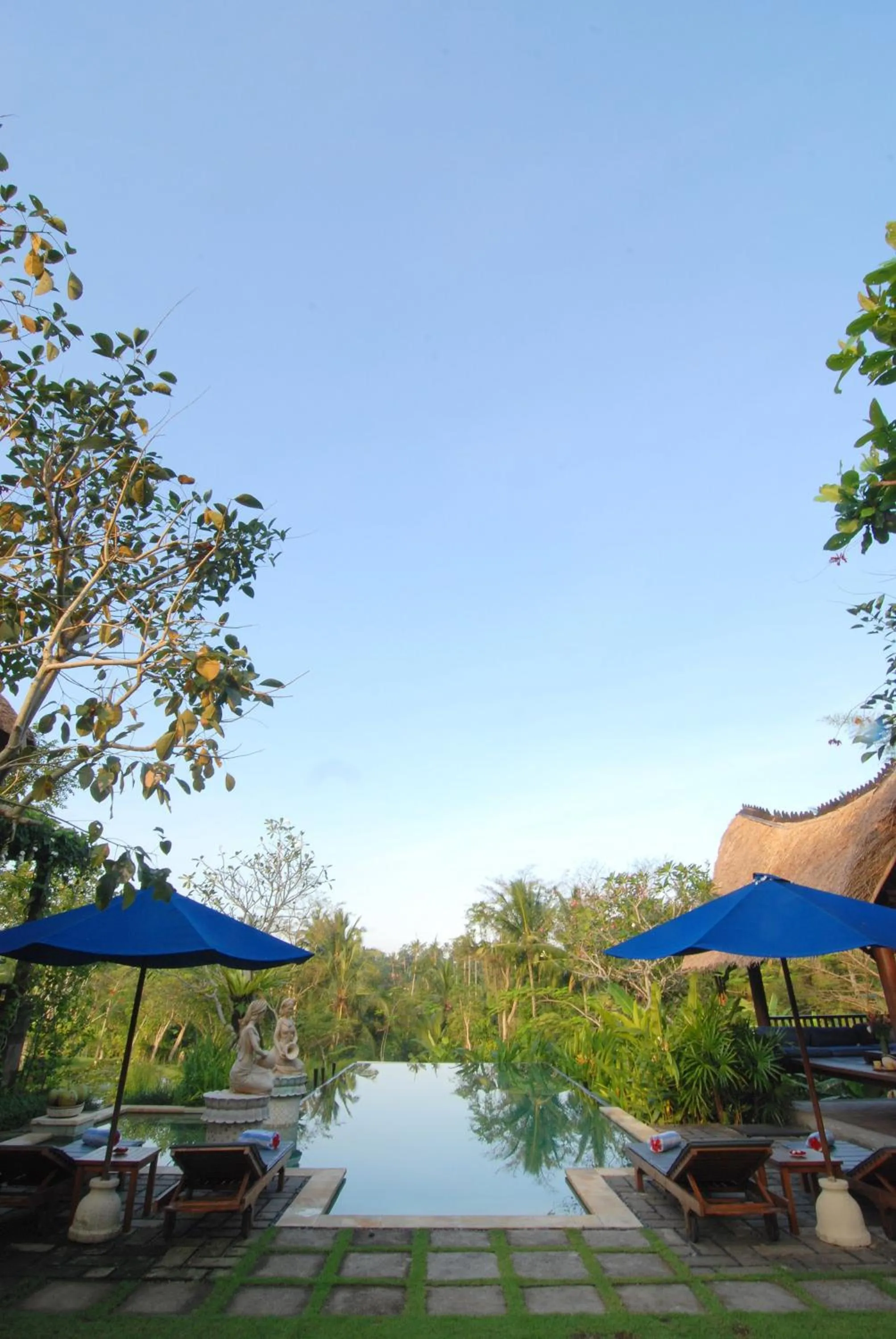 Garden in Villa Sebali