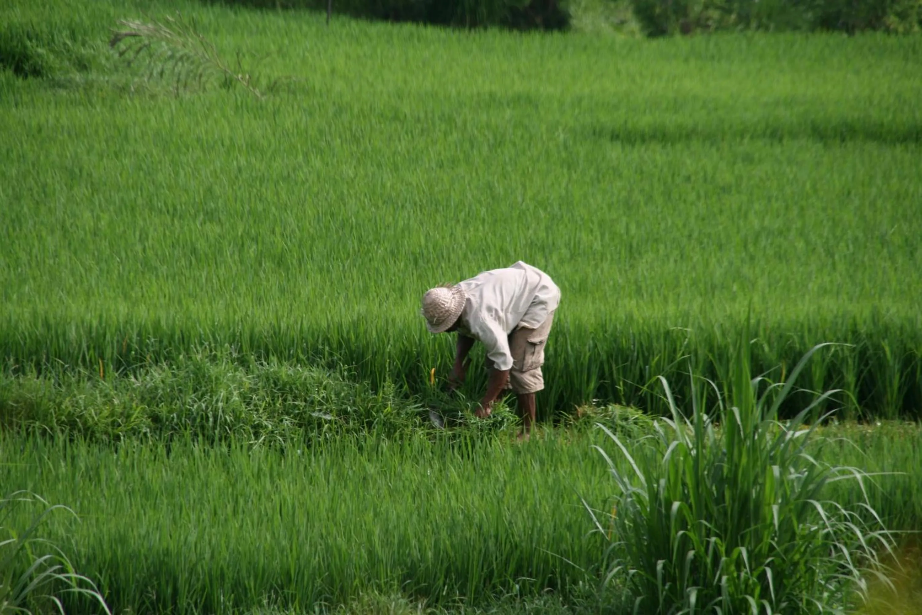 People in Villa Sebali