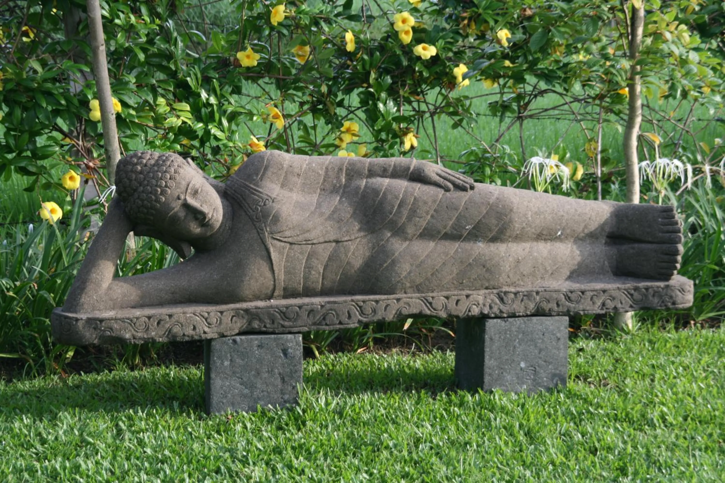 Garden in Villa Sebali