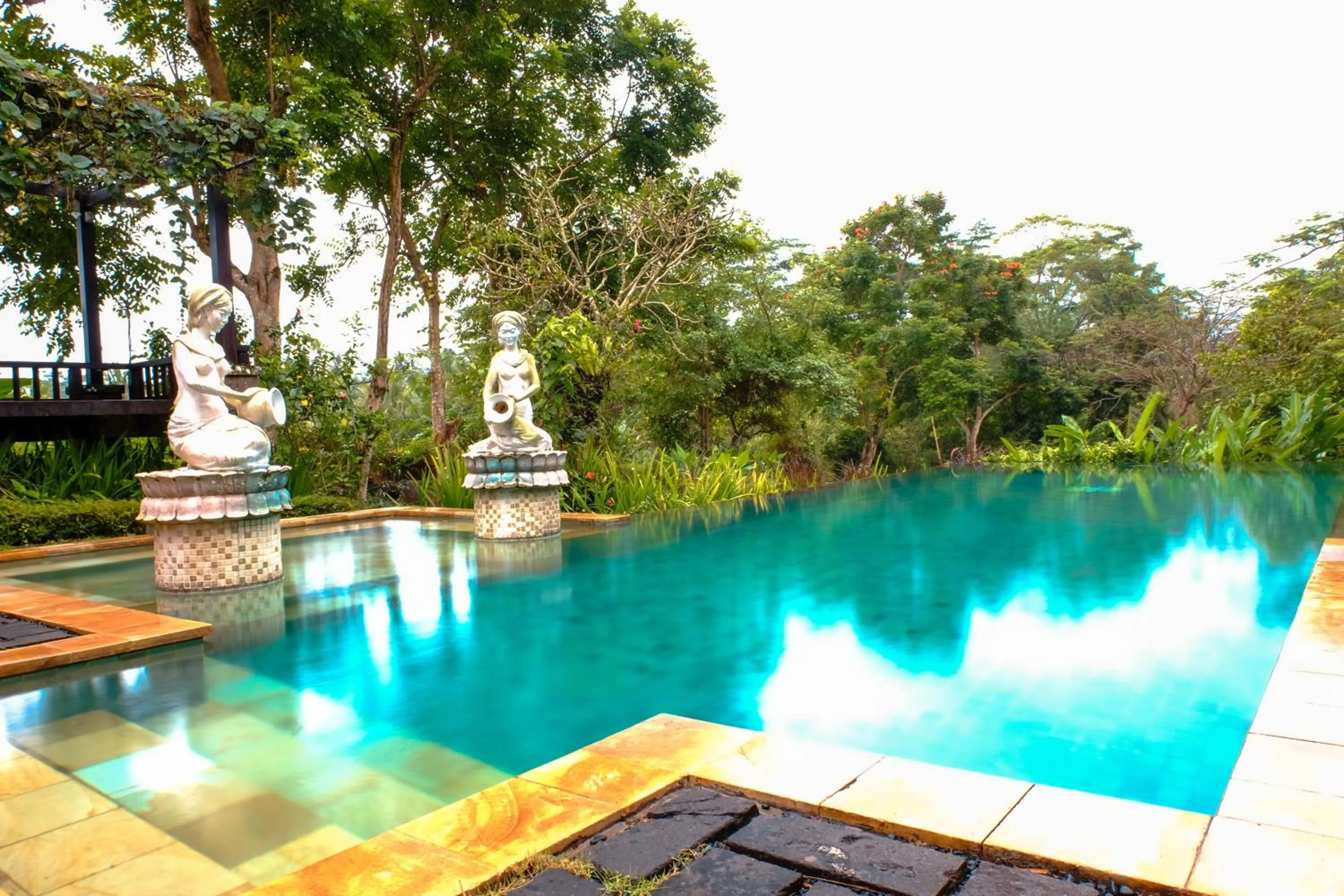 Garden in Villa Sebali