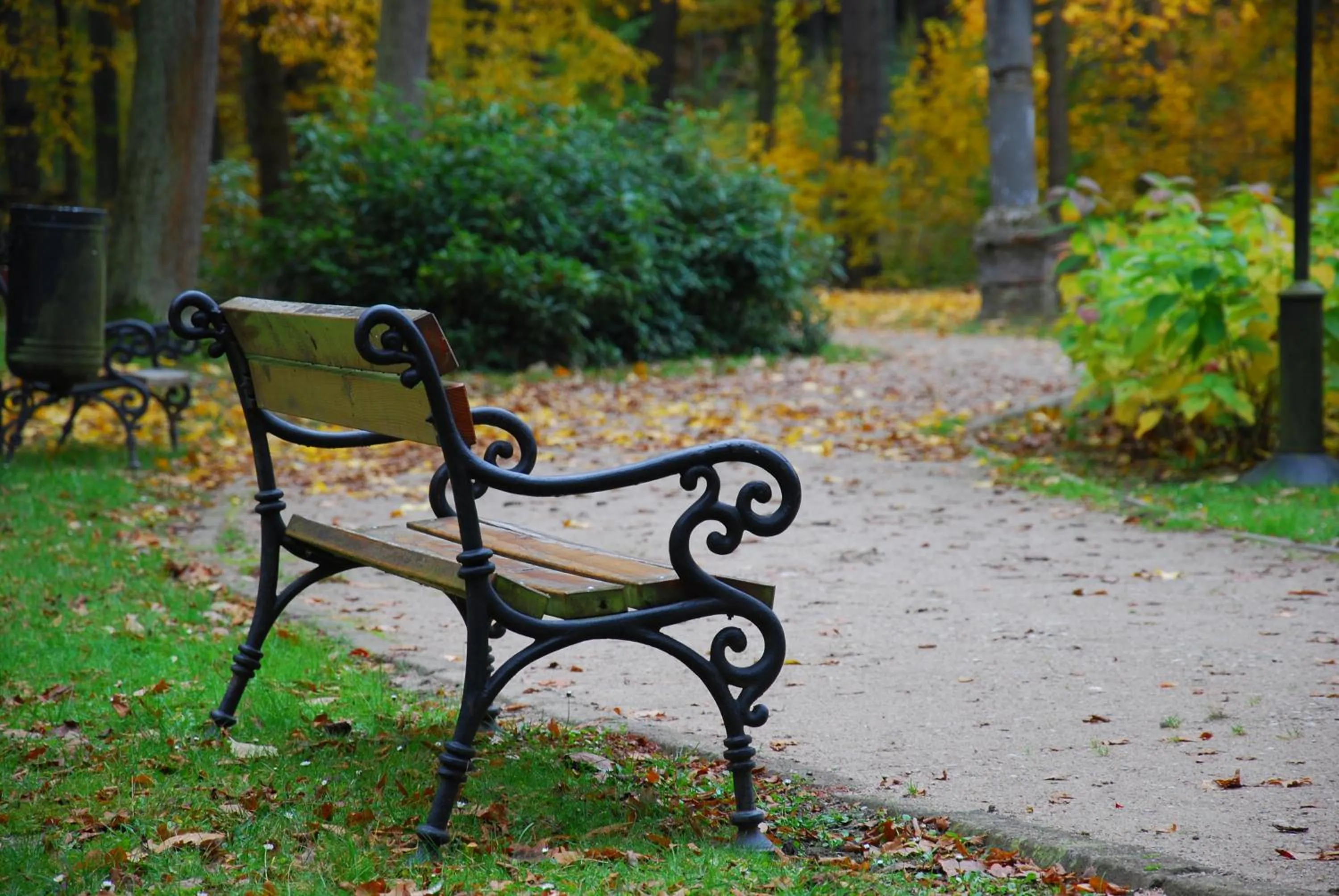 Natural landscape in Pałac Myśliwski w Antoninie