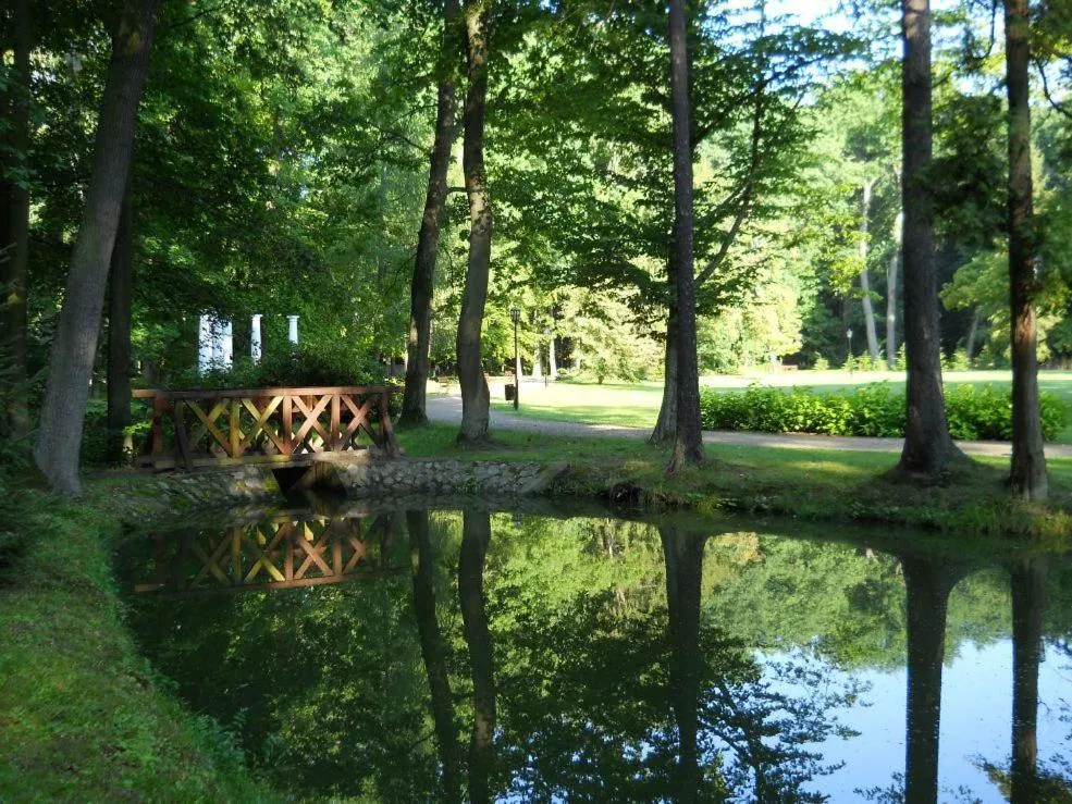Natural landscape in Pałac Myśliwski w Antoninie