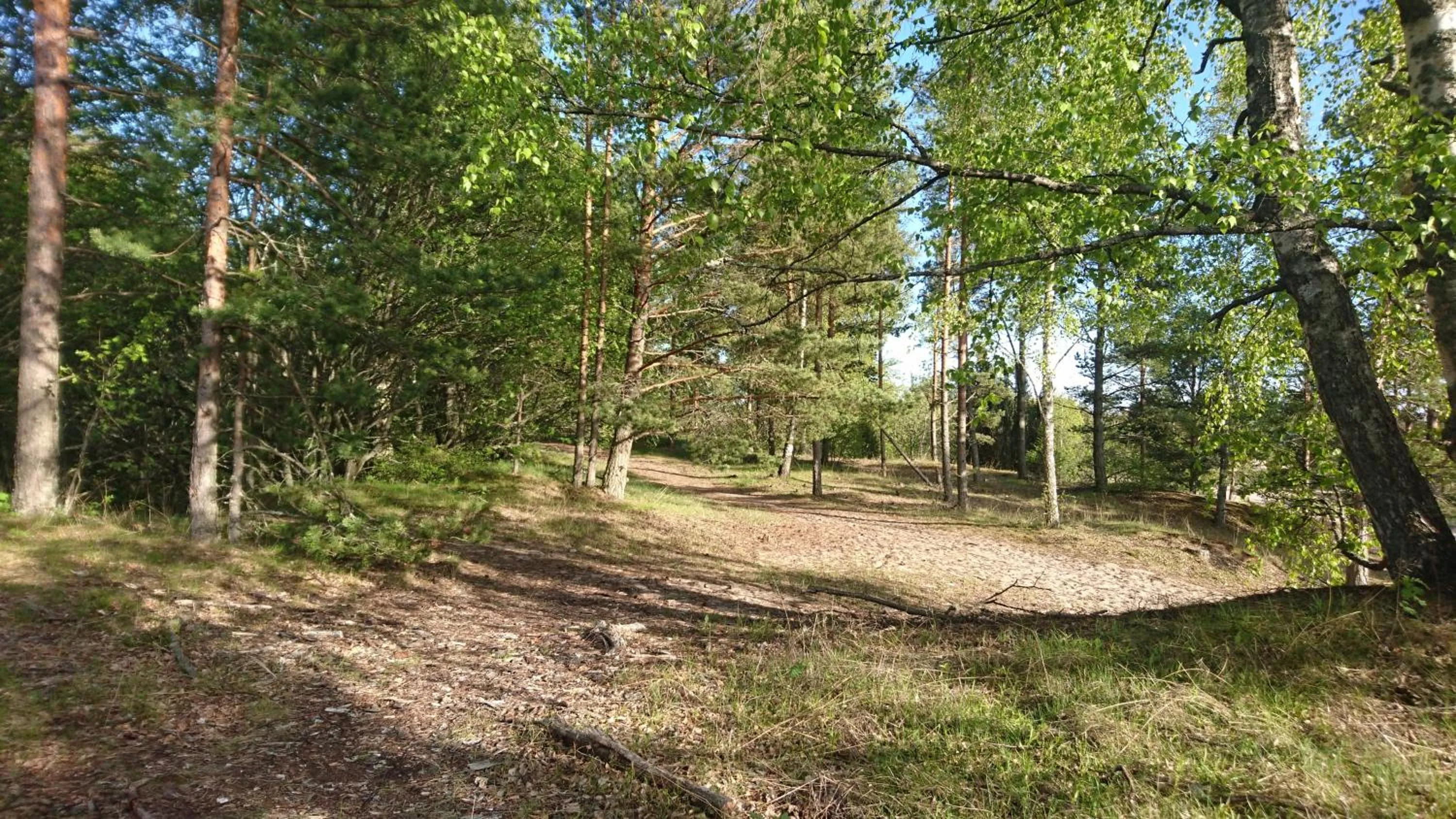 Natural landscape in Yyteri Spa Hotel