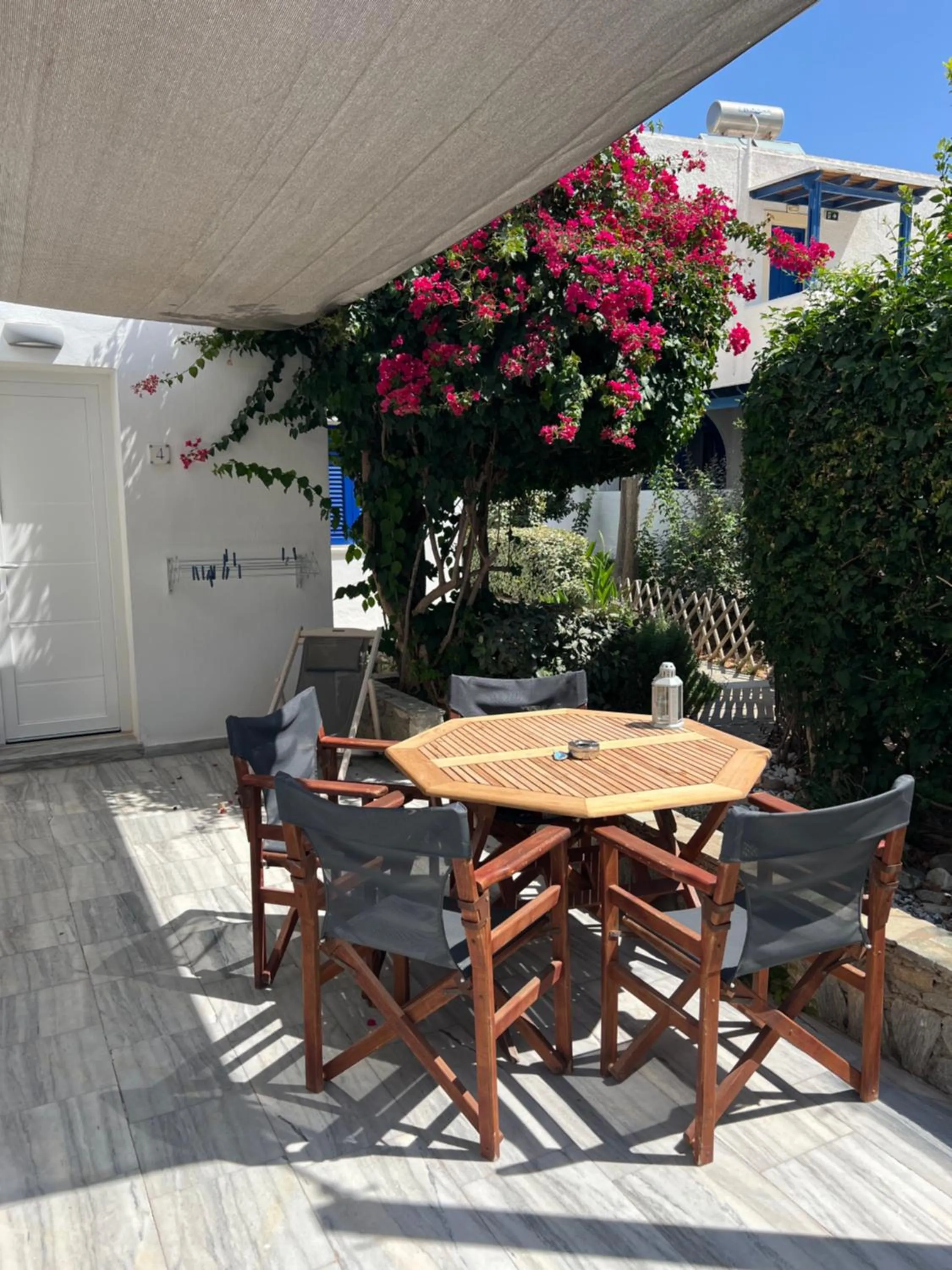 Garden in Marioly Studios