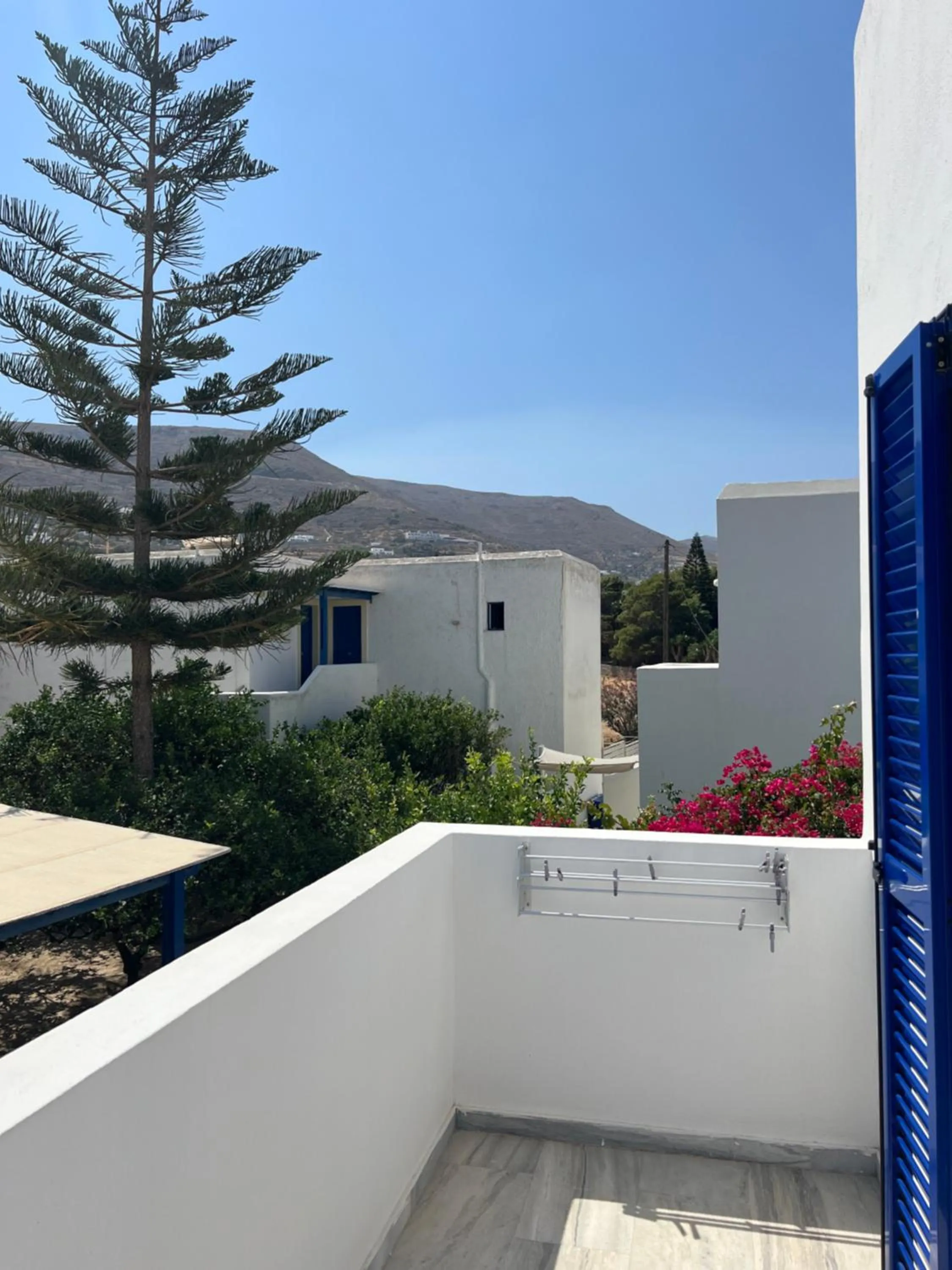 Garden in Marioly Studios