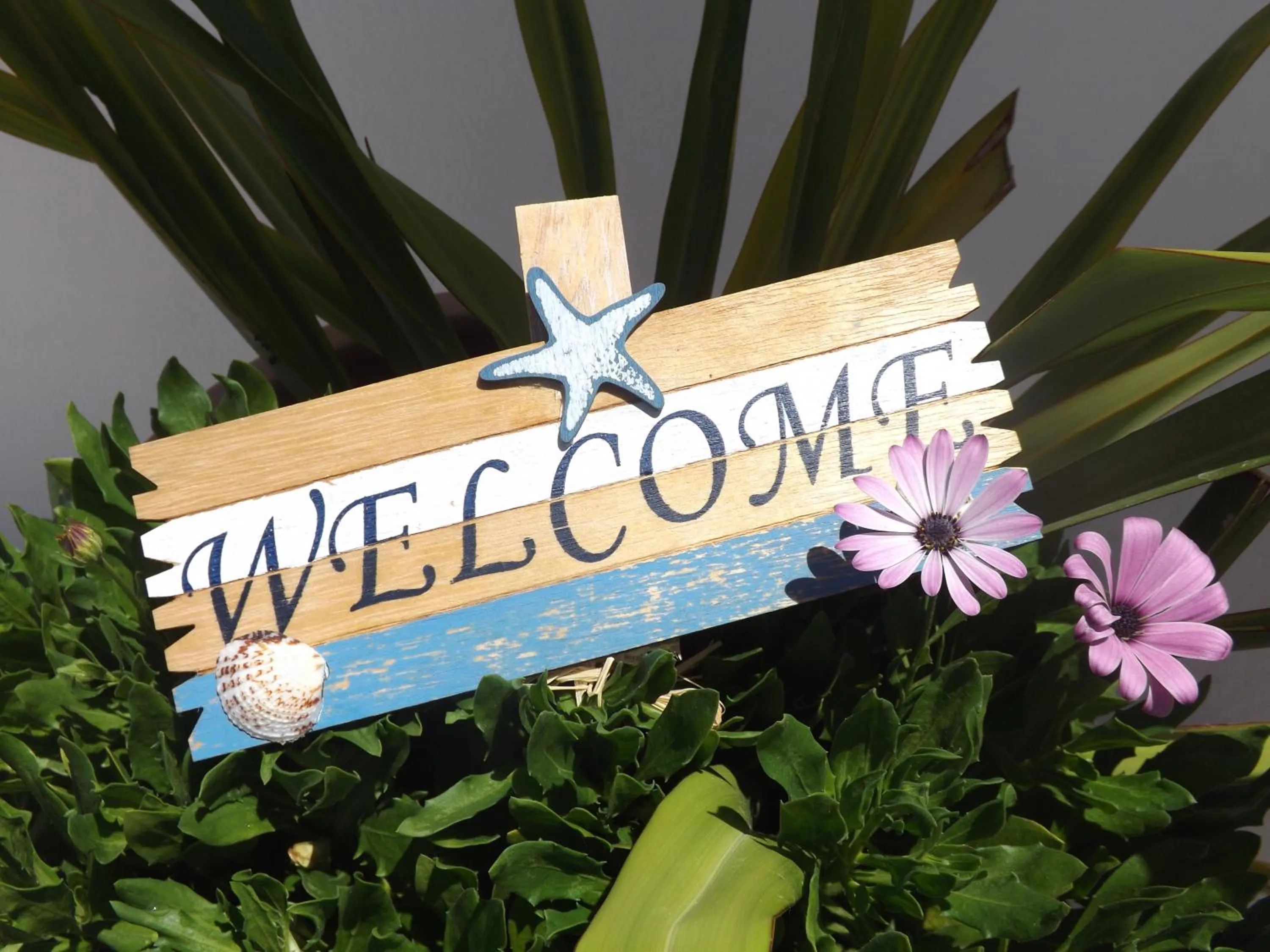 Garden in Marioly Studios