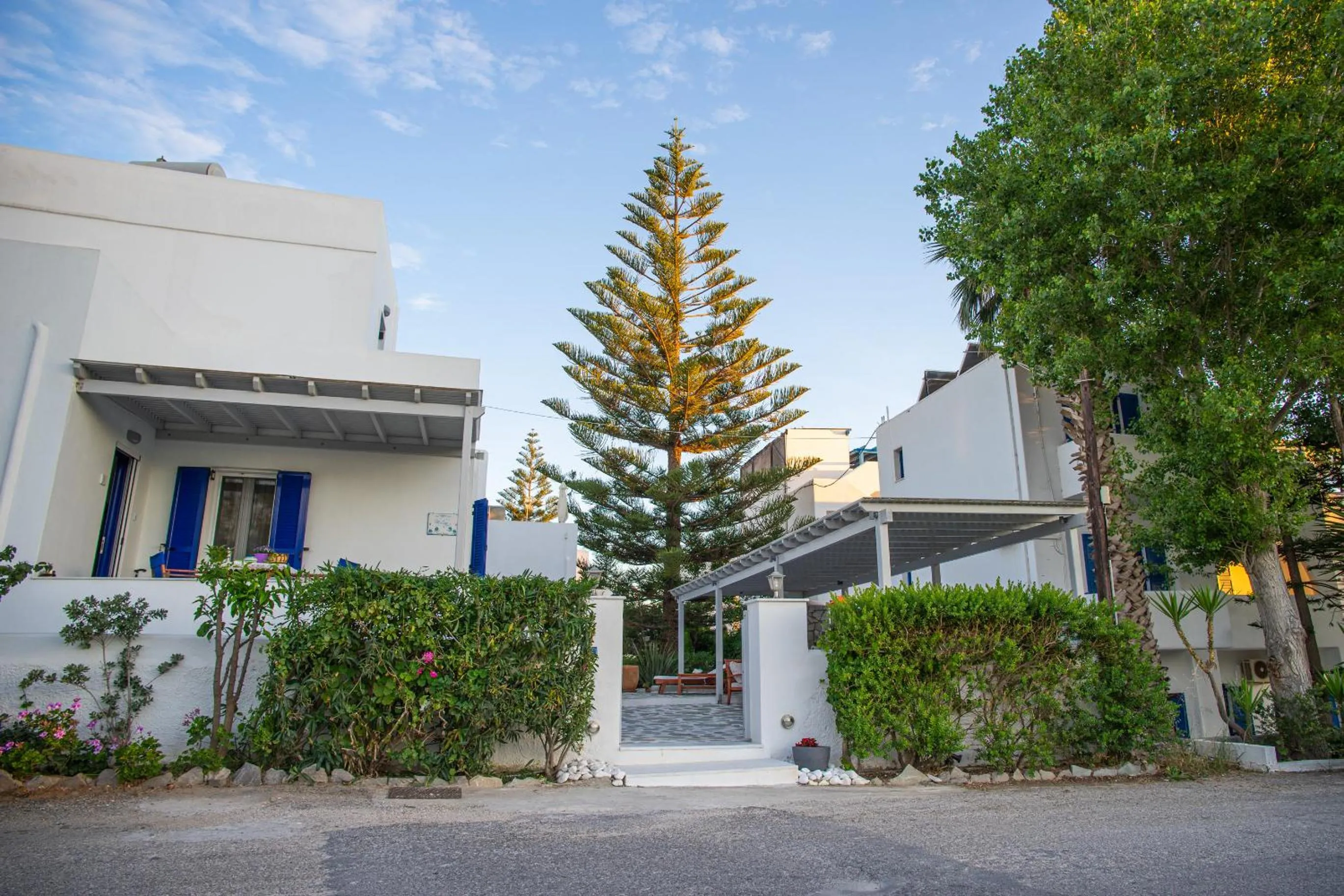 Property building in Marioly Studios