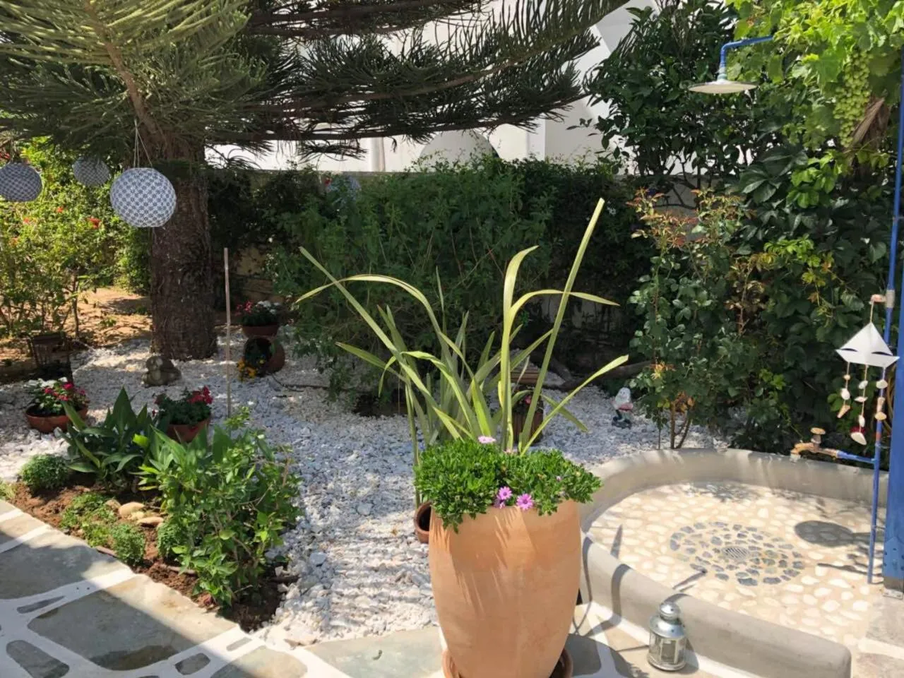 Garden in Marioly Studios