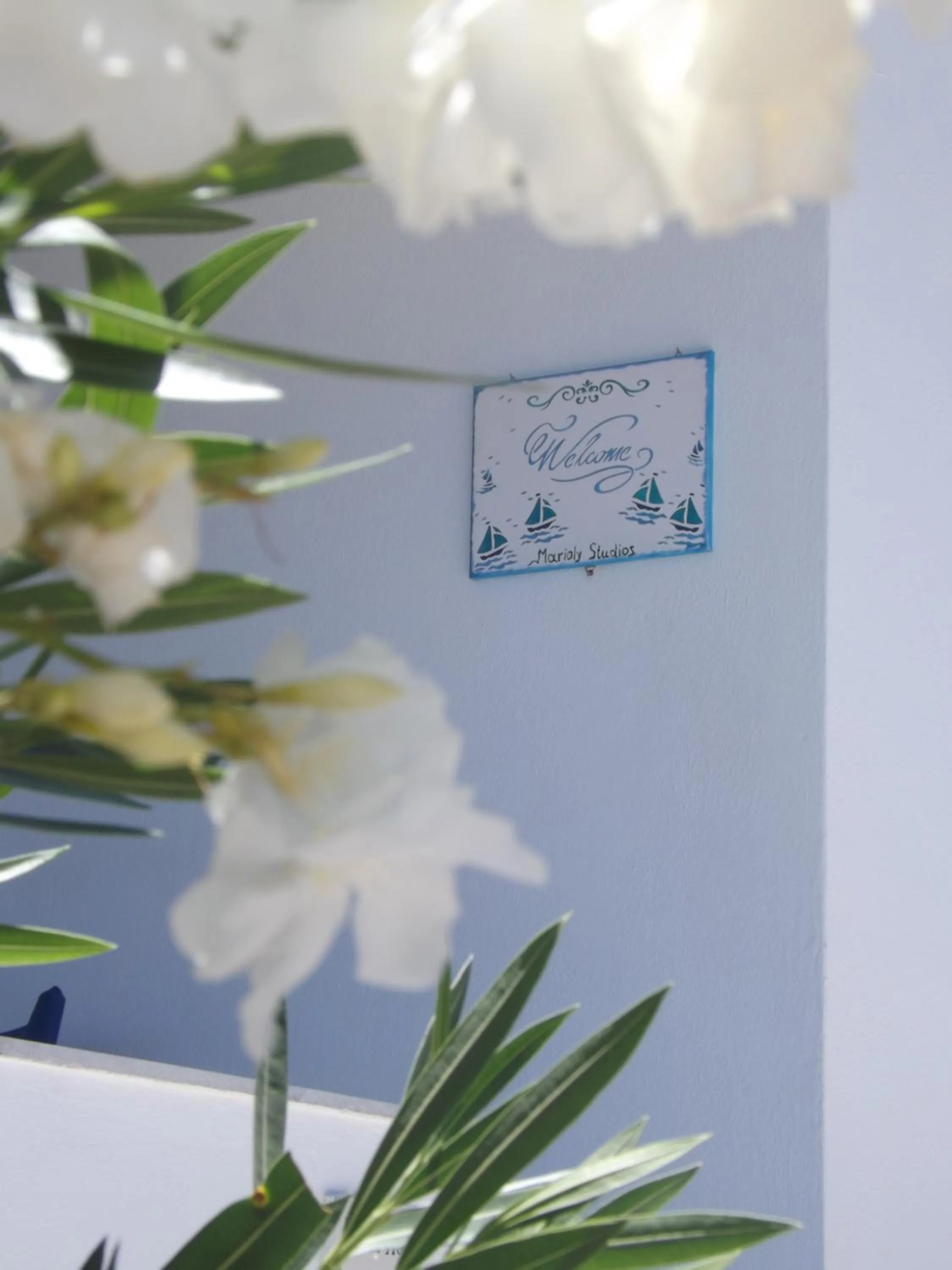 Logo/Certificate/Sign in Marioly Studios