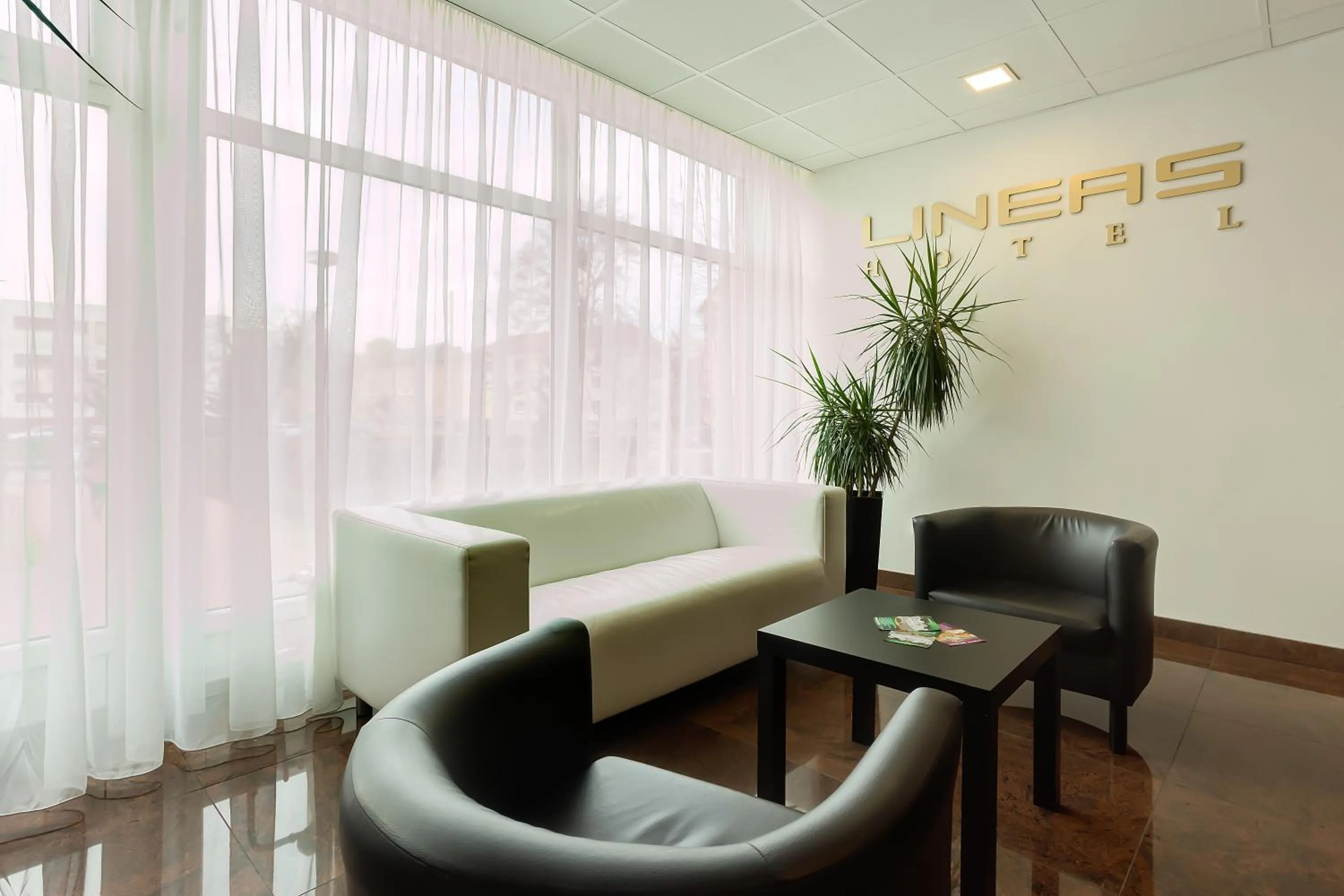 Lobby or reception in Hotel Lineas