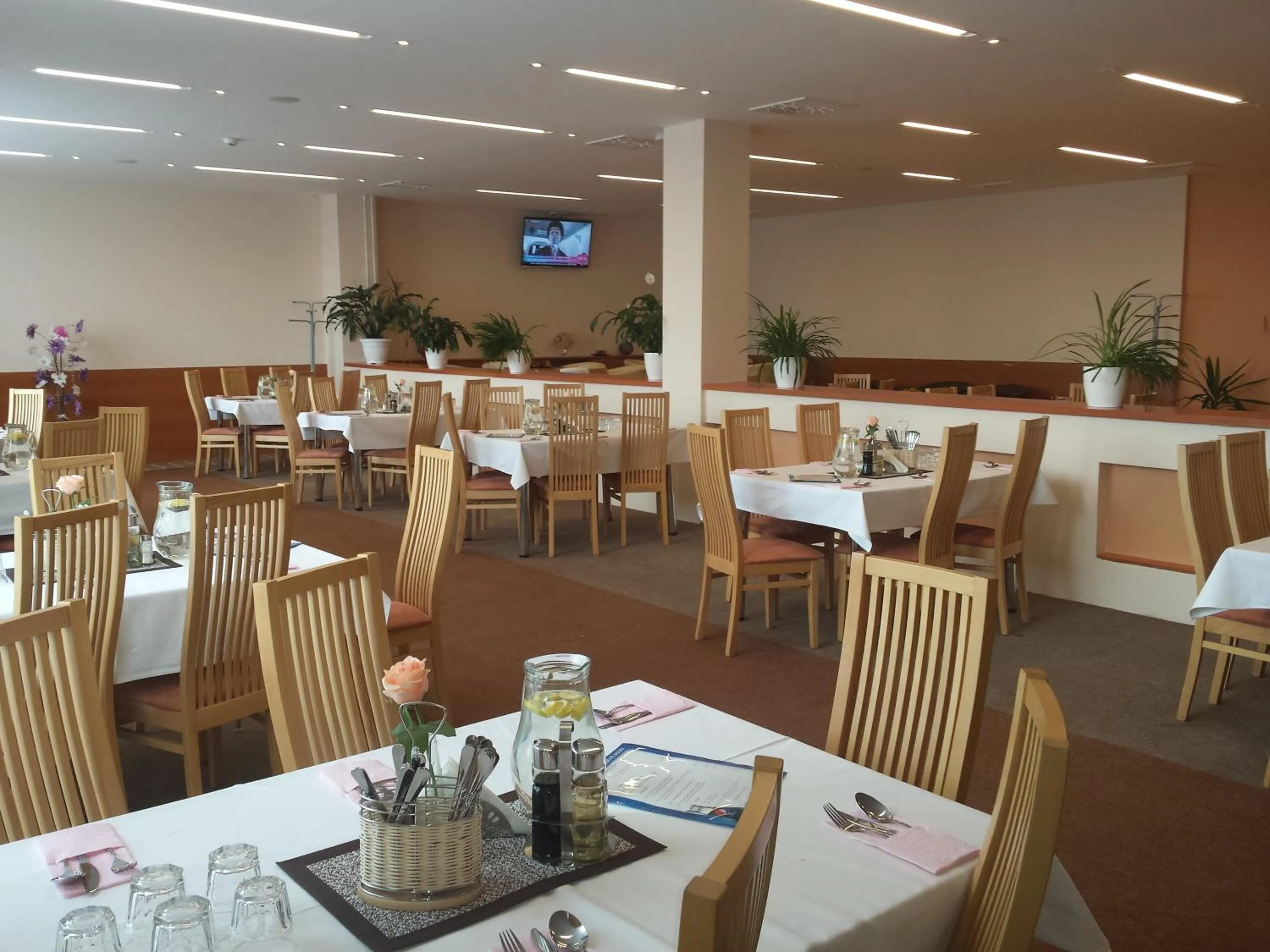 Restaurant/places to eat in Hotel Lineas