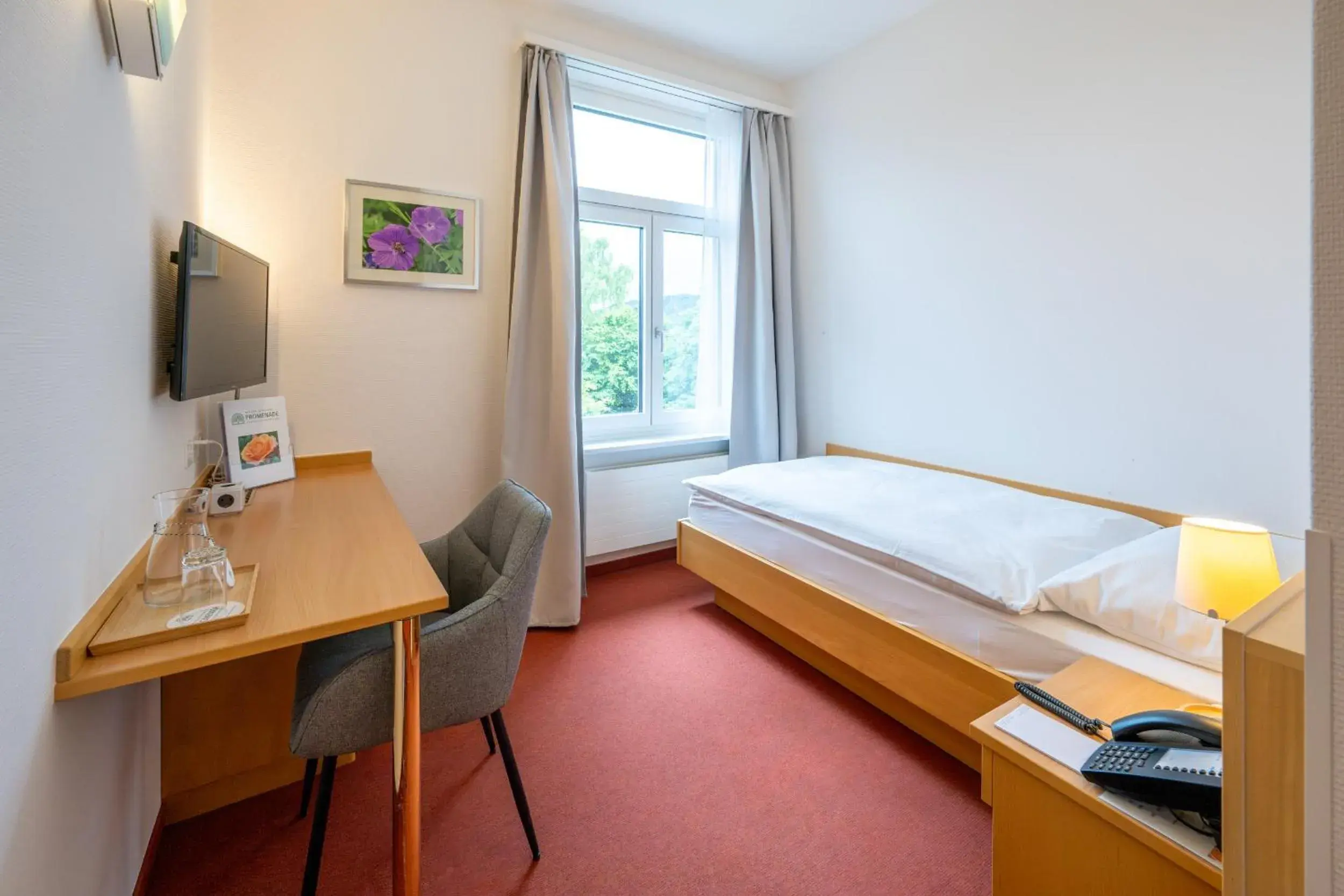 Single Room in Hotel Promenade Single Room in Hotel Promenade