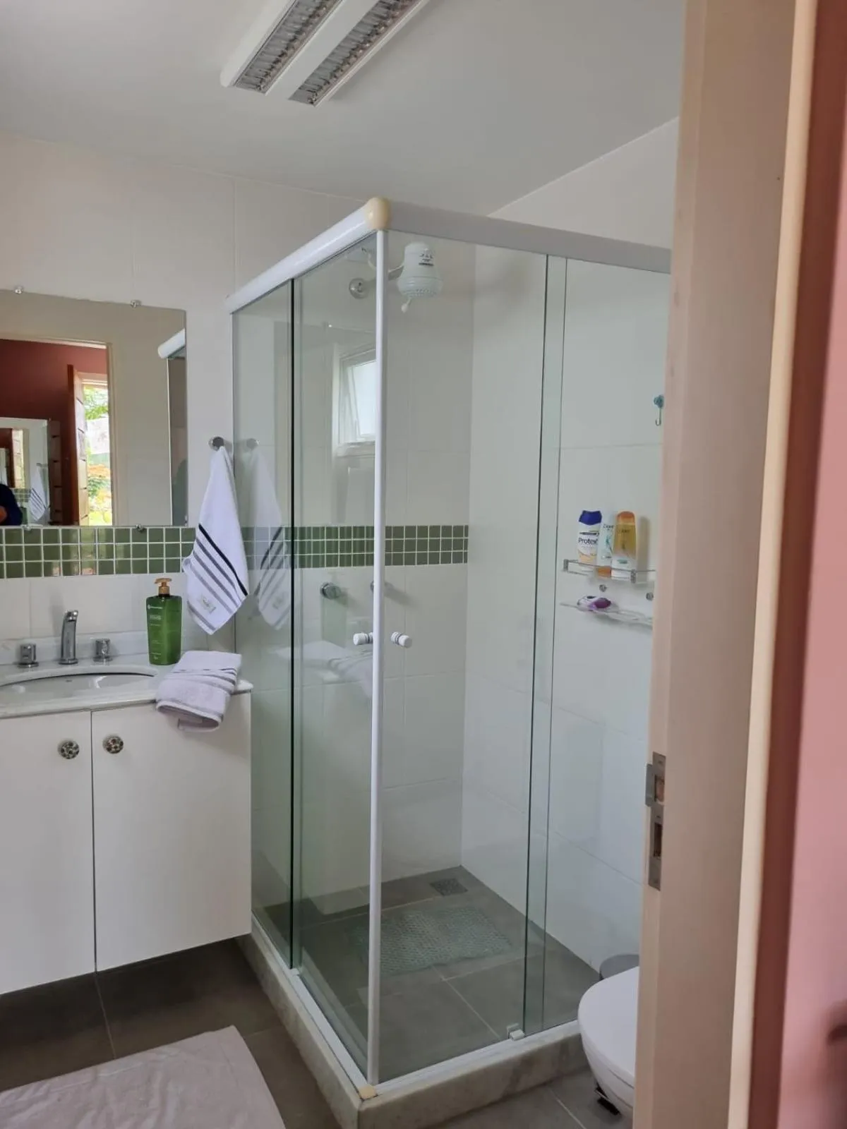 Toilet in Pouso Mantiqueira