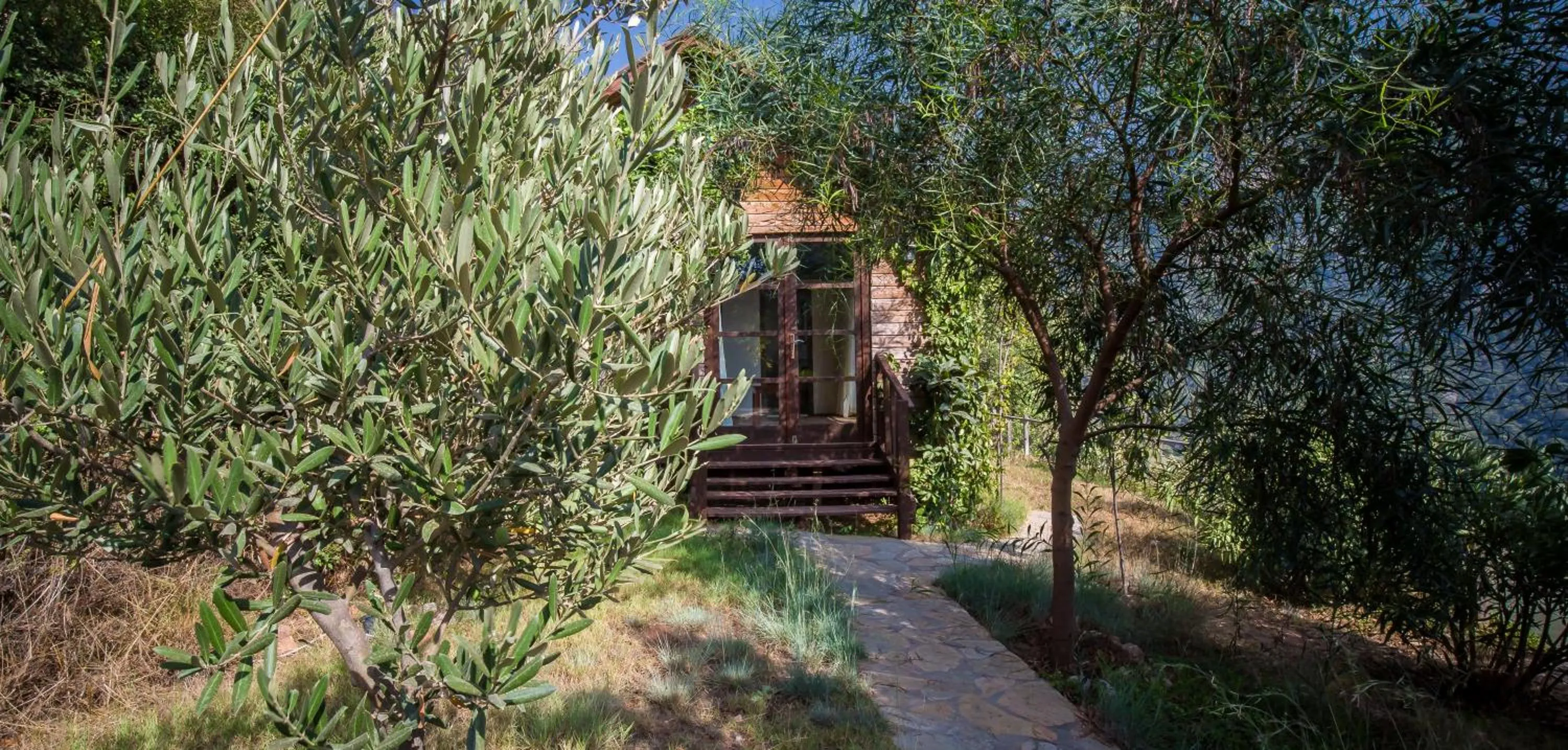 Garden in Kabak Avalon Bungalows