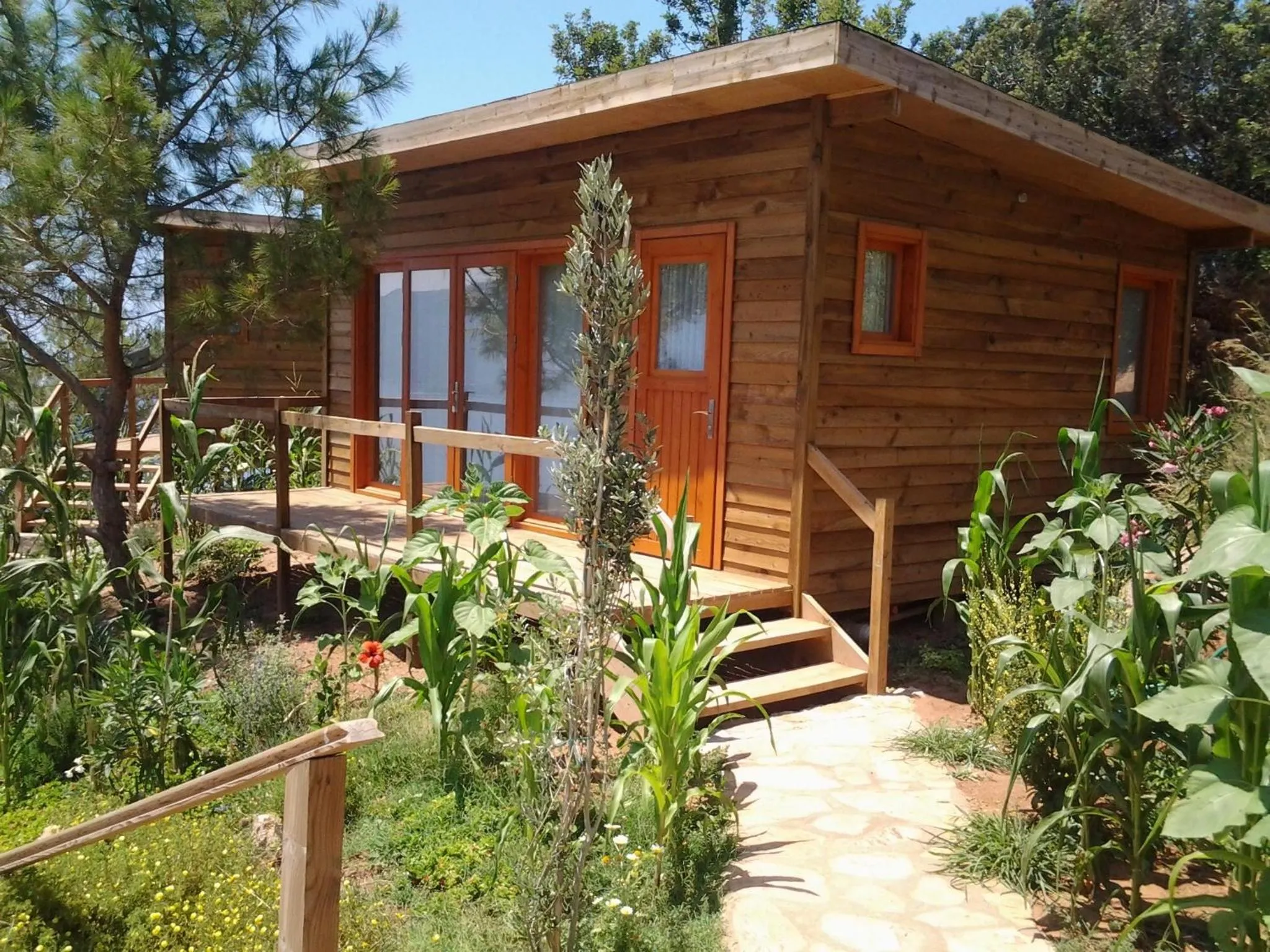 Facade/entrance in Kabak Avalon Bungalows