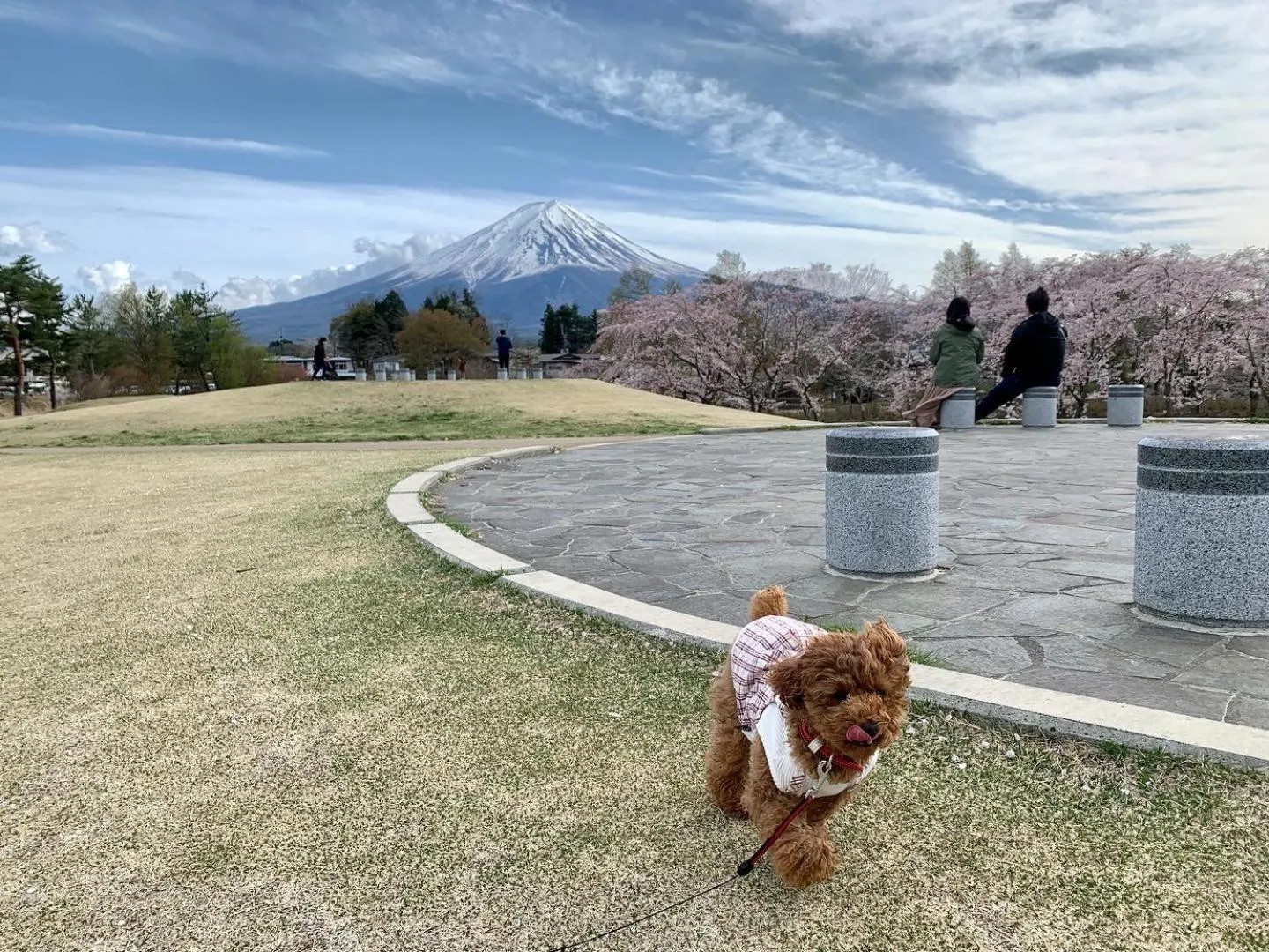 Spring in Akaishi Ryokan