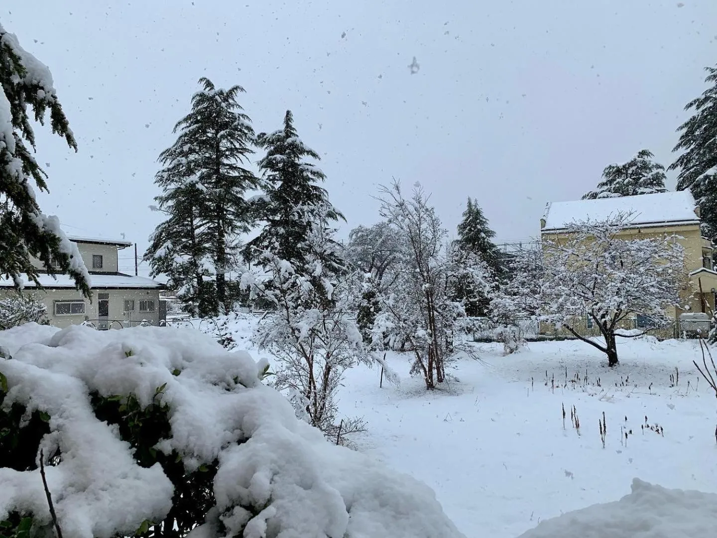 Natural landscape in Akaishi Ryokan
