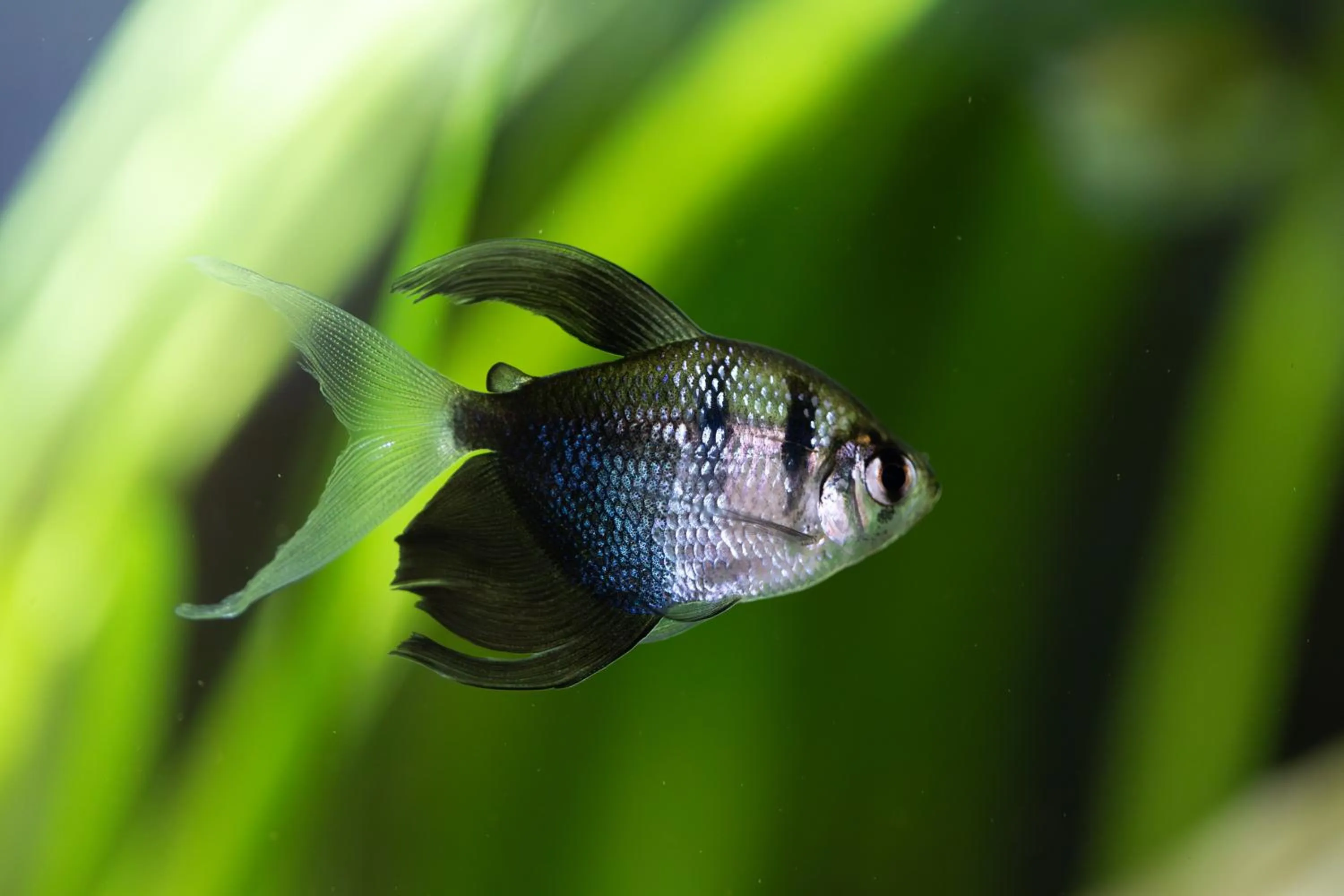 Decorative detail in The Resolution Hotel
