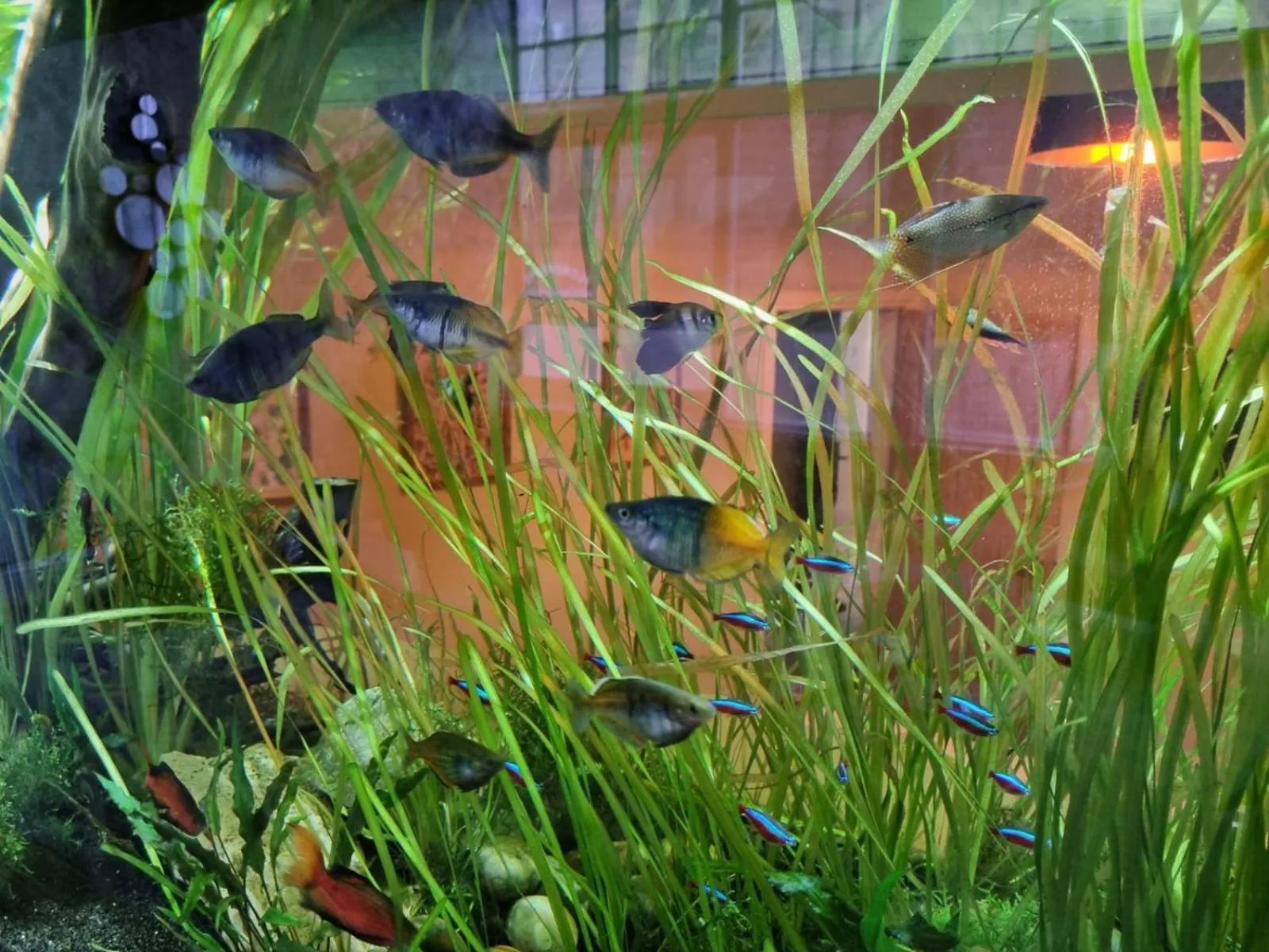 Decorative detail in The Resolution Hotel