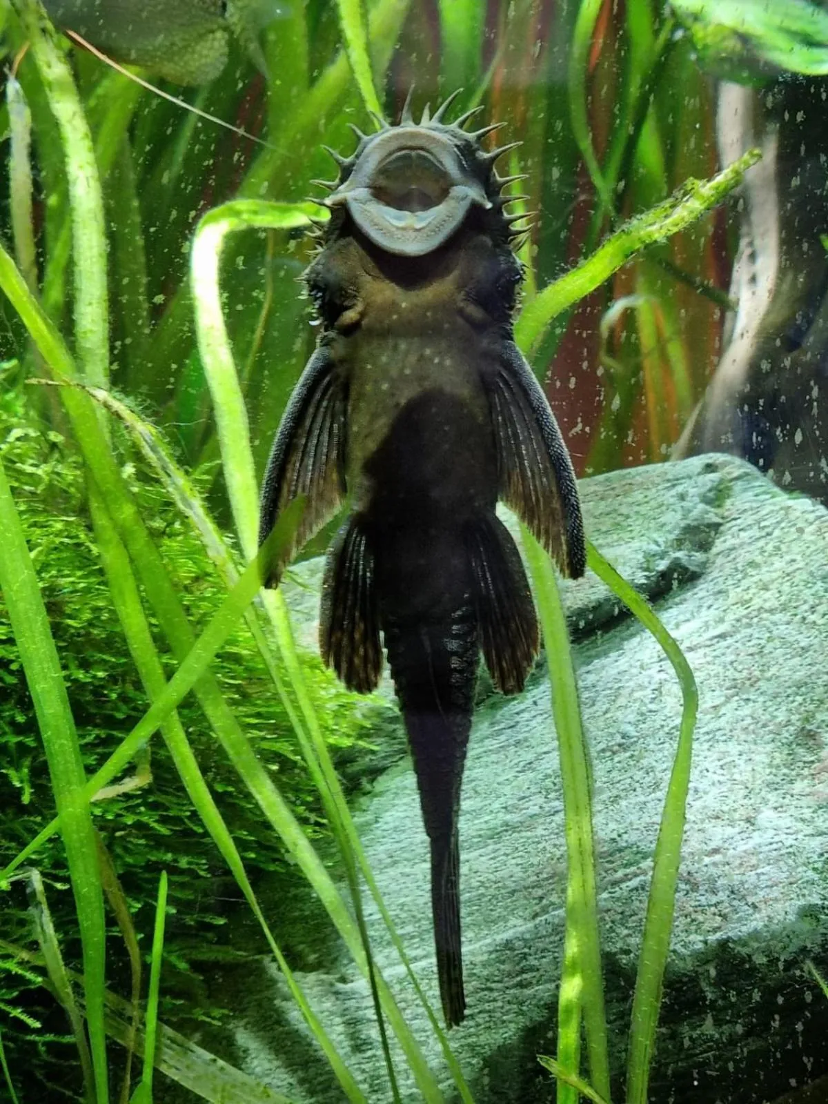 Decorative detail in The Resolution Hotel