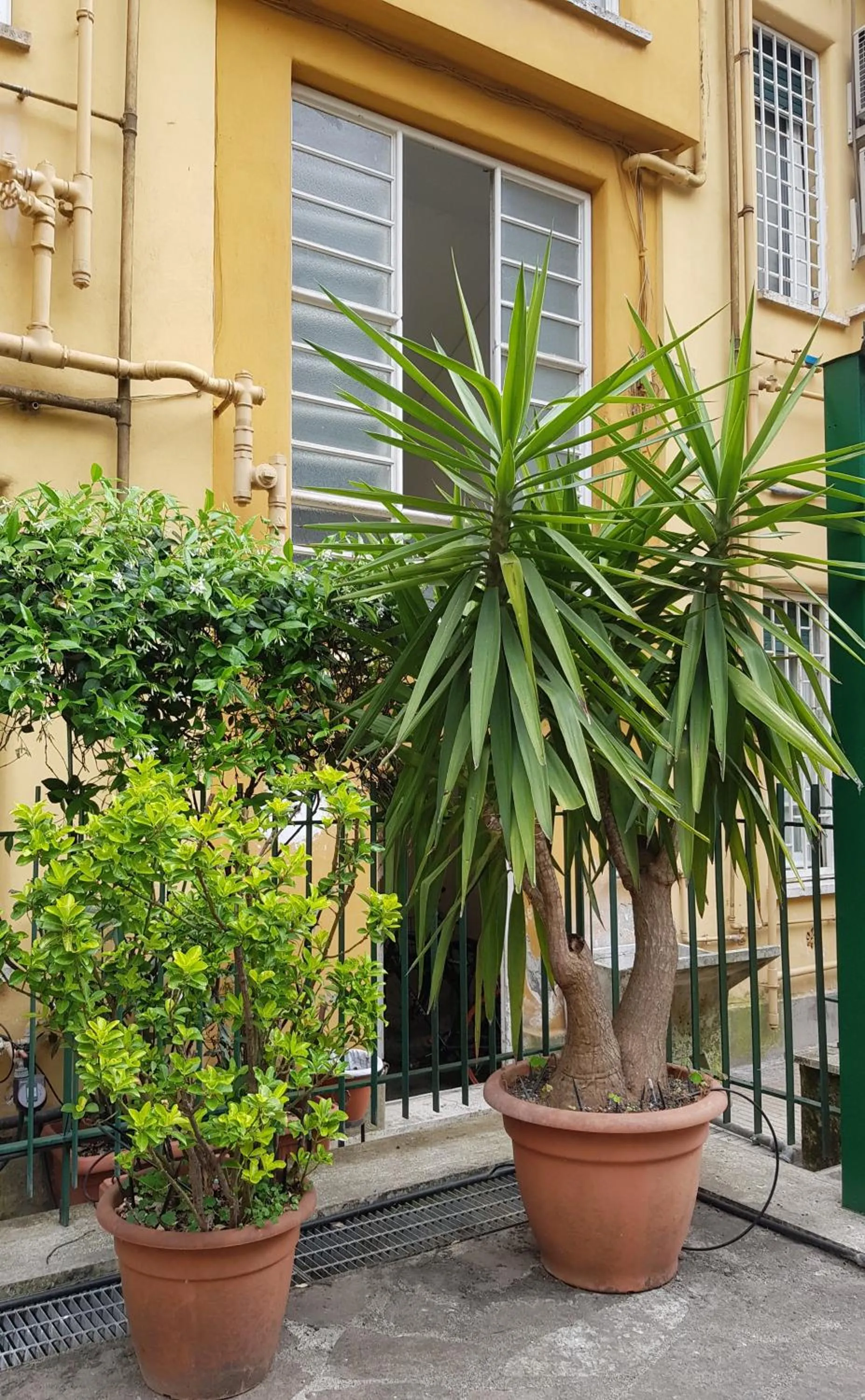 Property building in Jubilee 3 Luxury apartment in Rome Vatican