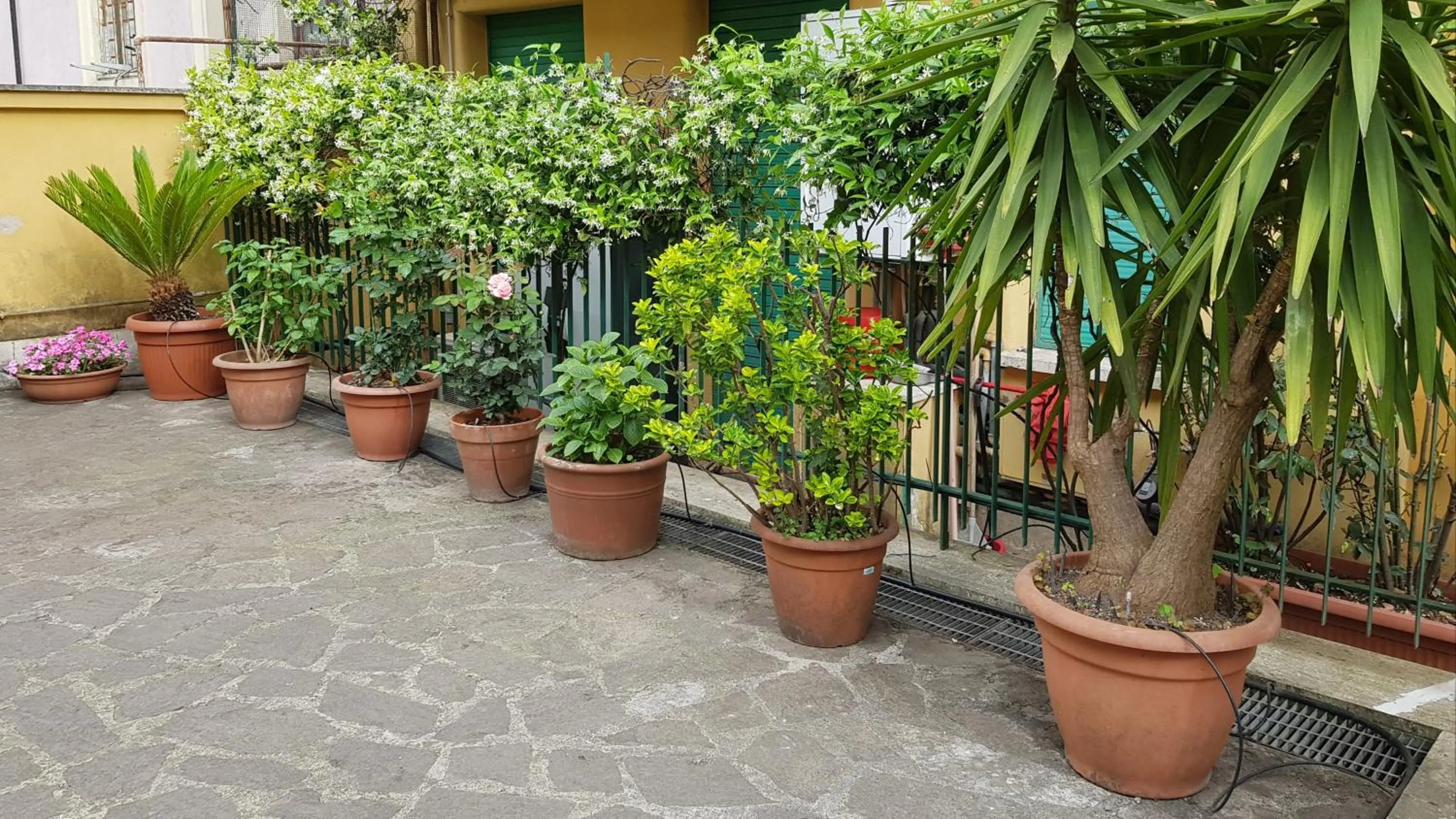 Garden in Jubilee 3 Luxury apartment in Rome Vatican