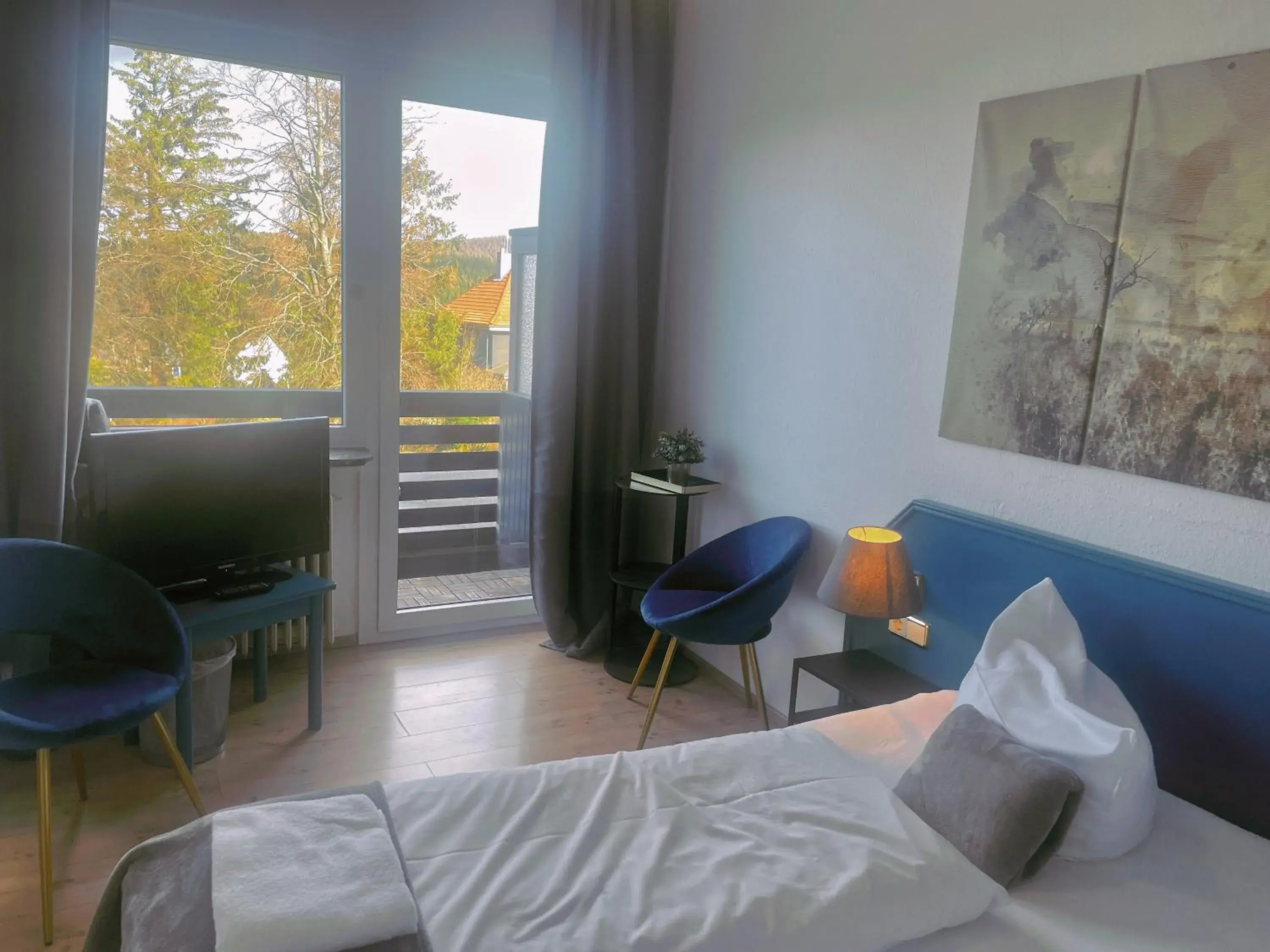 Double Room with Balcony - single occupancy - No Pets Allowed in Berghotel HARZ Double Room with Balcony - single occupancy - No Pets Allowed in Berghotel HARZ
