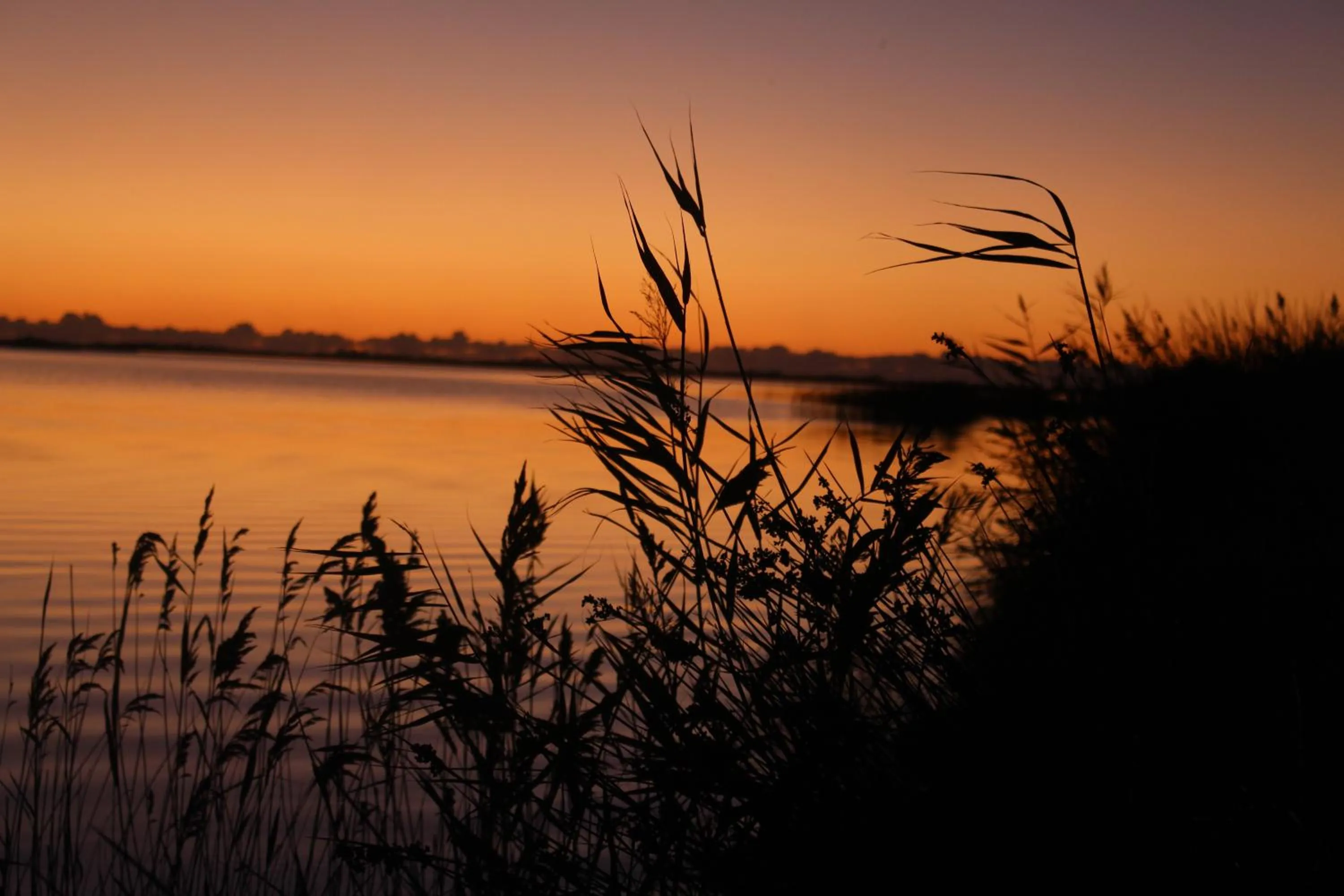 Property building in Rambuje Resort