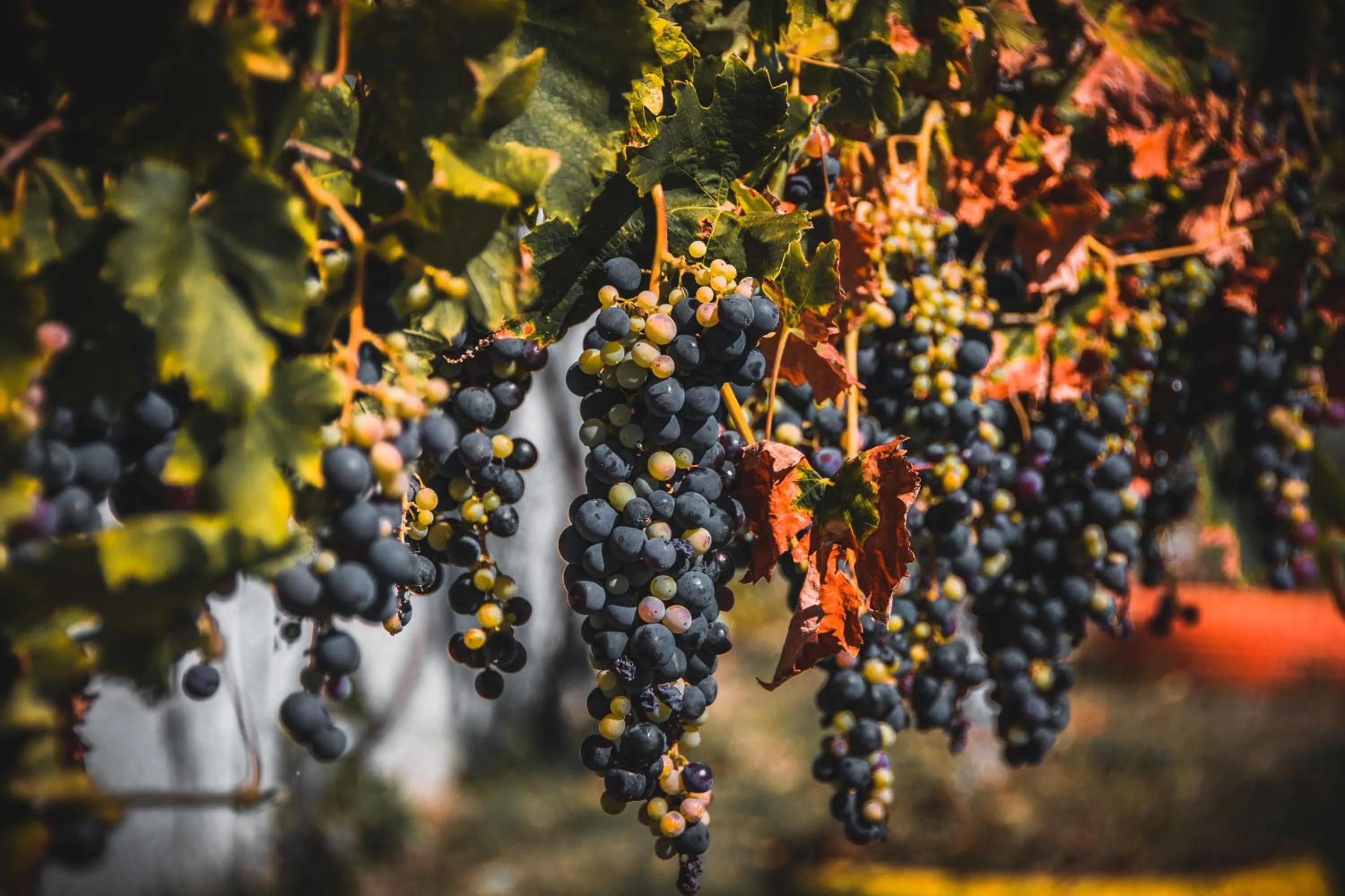 Property building in Rambuje Resort