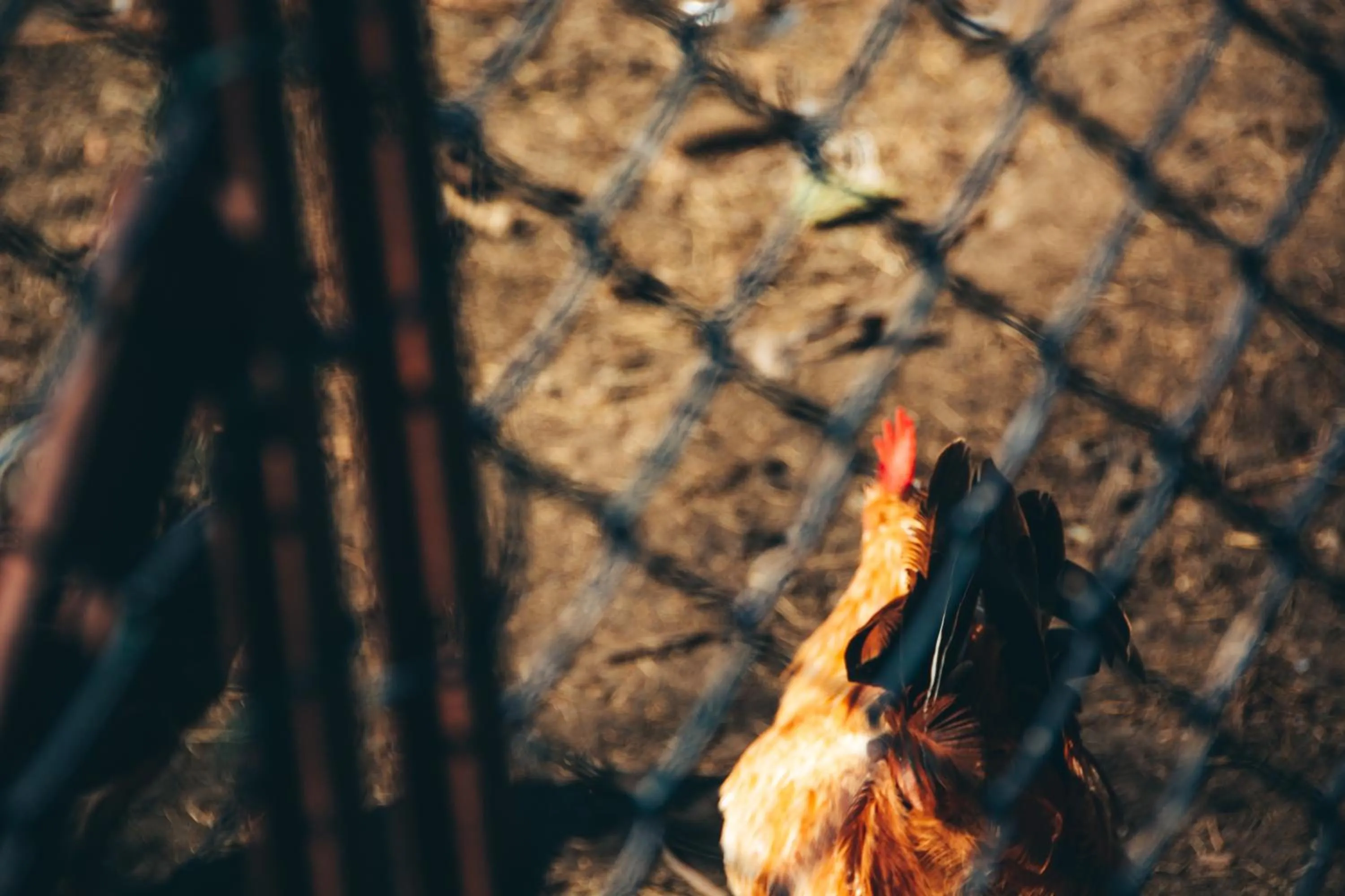 Family in Rambuje Resort