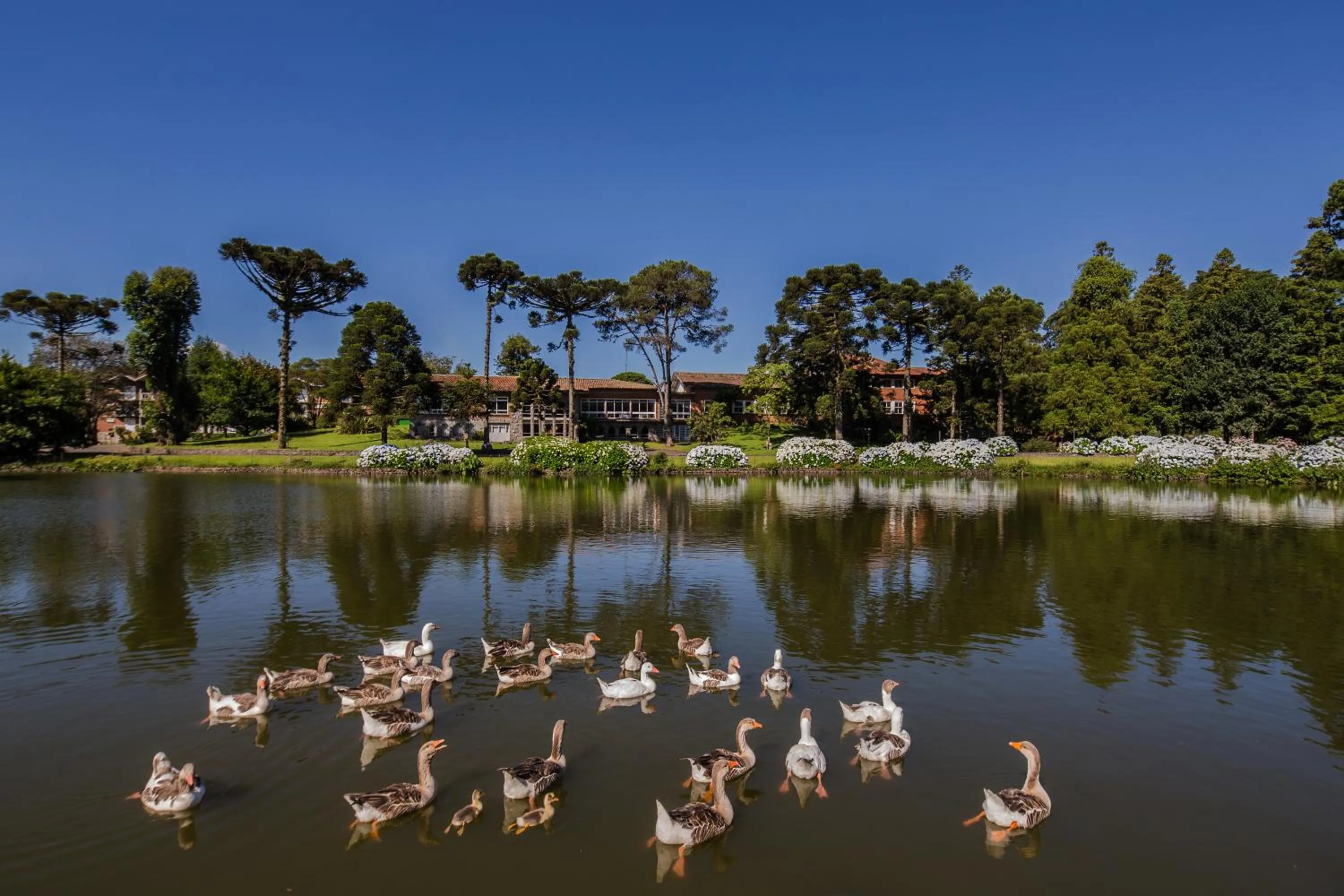 Facade/entrance in Grande Hotel Canela