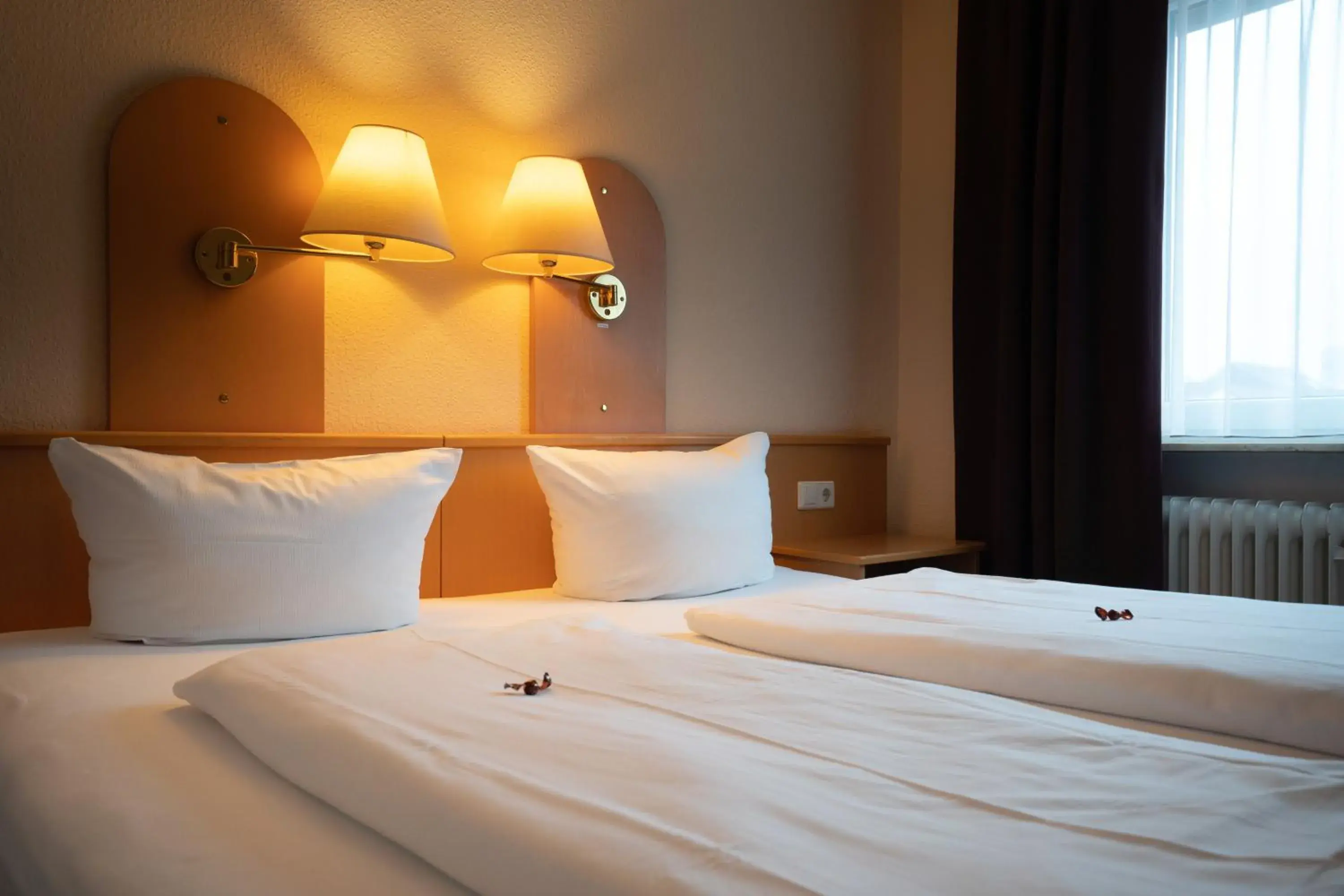 Standard Double Room in Hotel Zum Prinzen Sinsheim Standard Double Room in Hotel Zum Prinzen Sinsheim