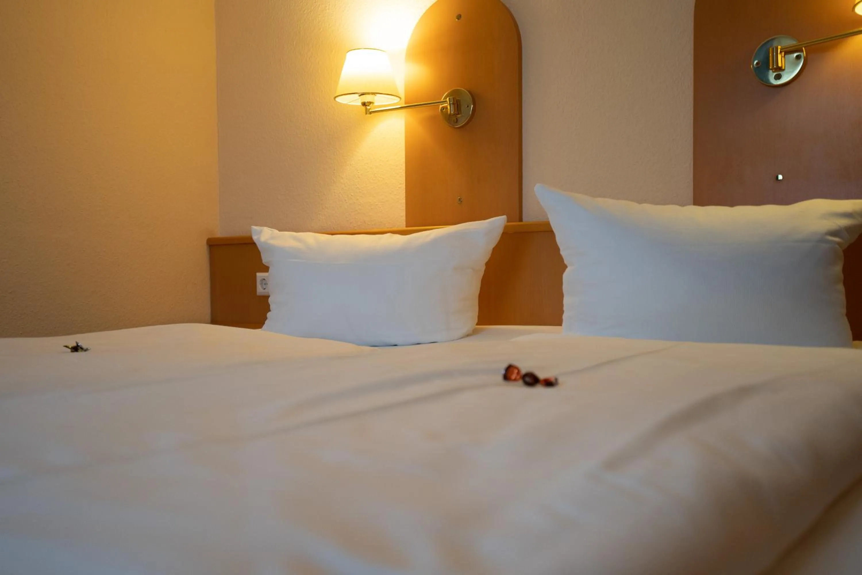 Decorative detail, Bed in Hotel Zum Prinzen Sinsheim