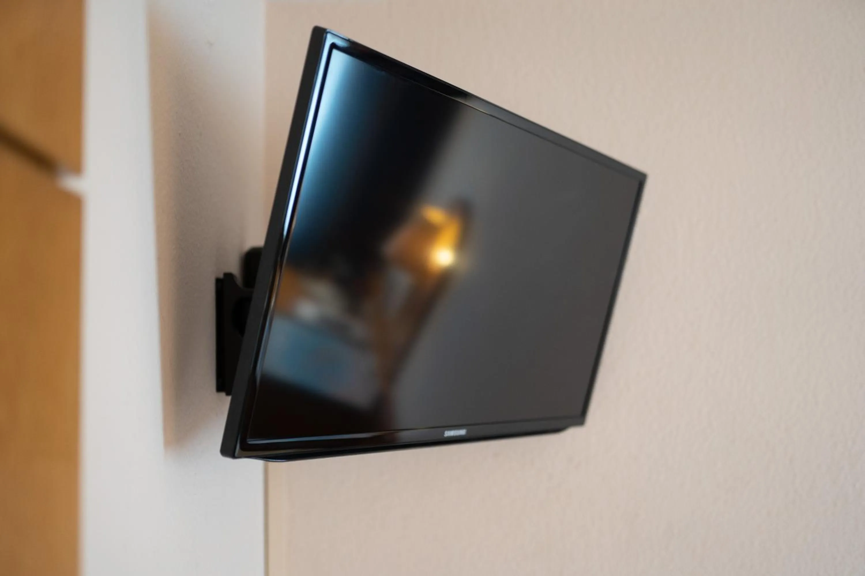 TV and multimedia in Hotel Zum Prinzen Sinsheim