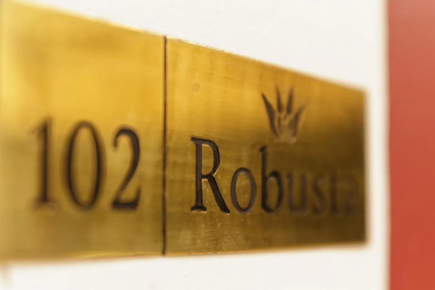 TV and multimedia in Hotel Casa Real Del Café