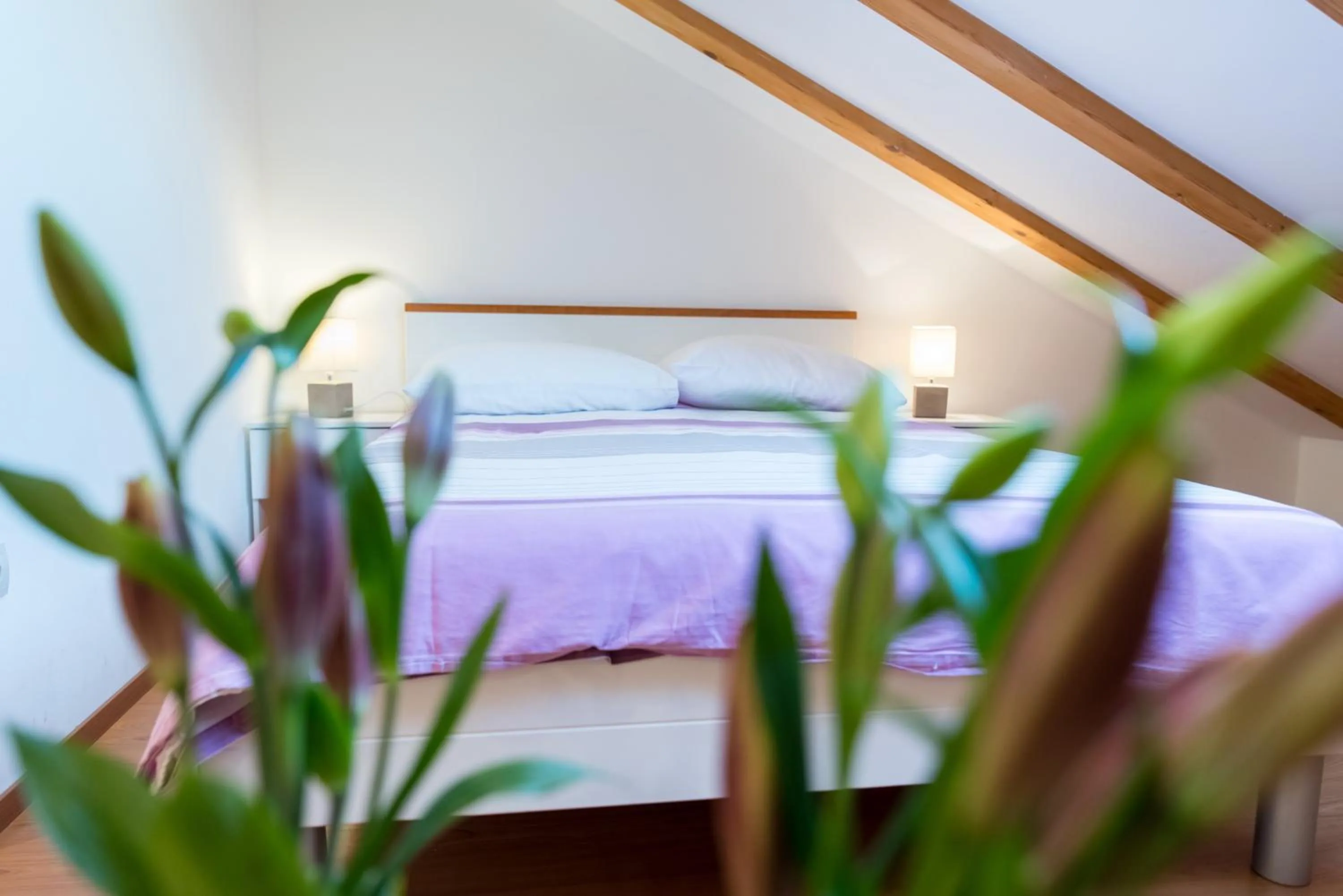 Bedroom, Bed in Rooms Raič