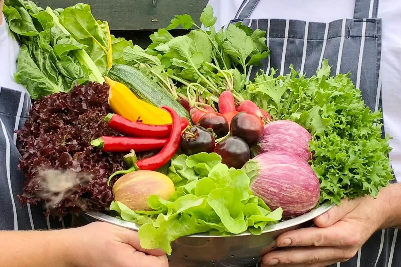 Sibton White Horse Inn