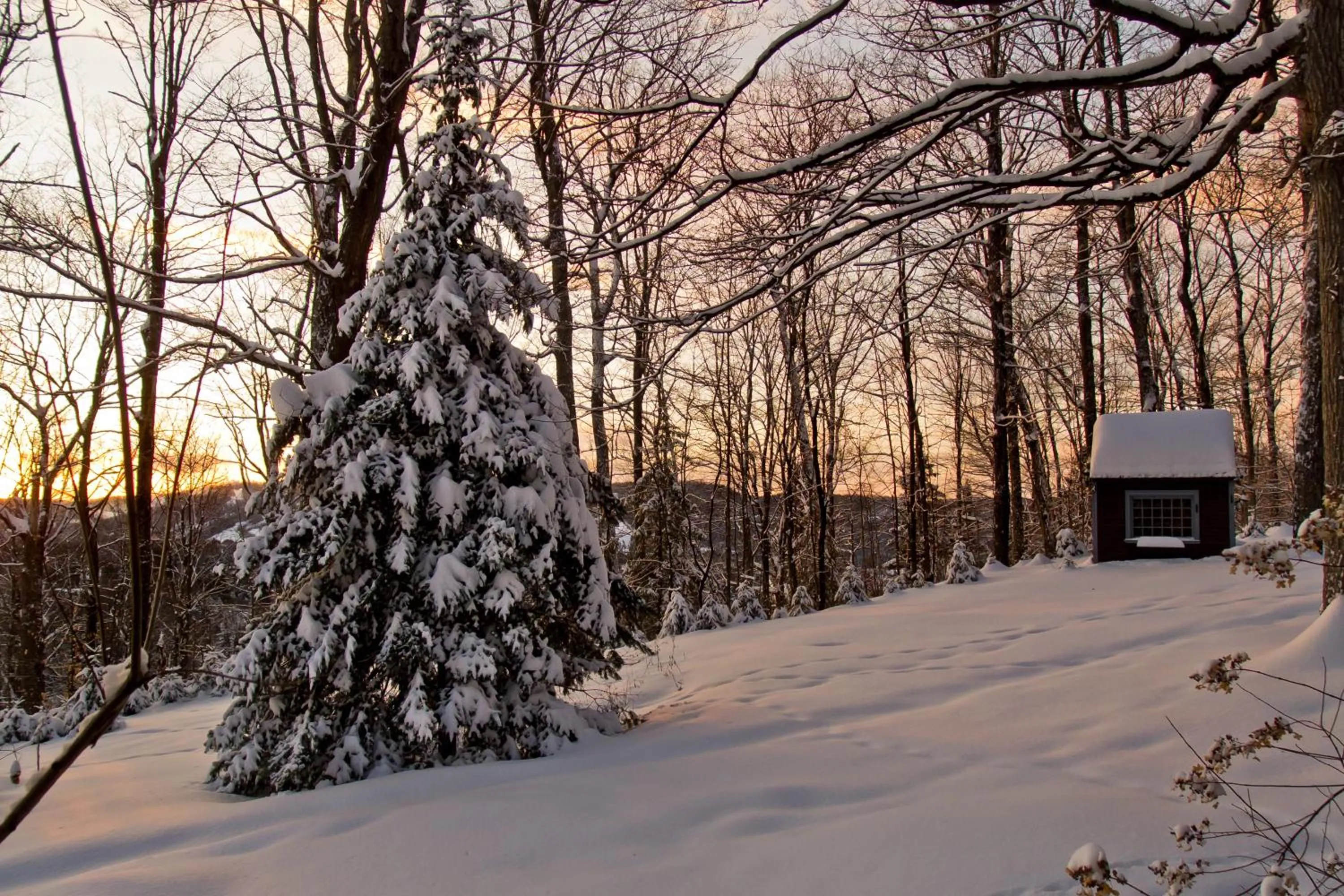 Area and facilities in Le Petit Clocher Gite Touristique B & B