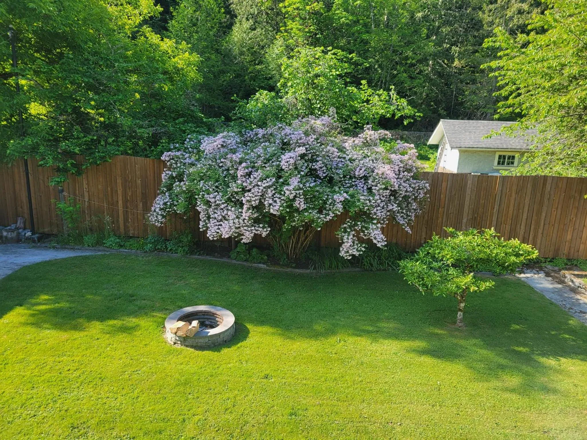 Garden in Riverbend Guest House