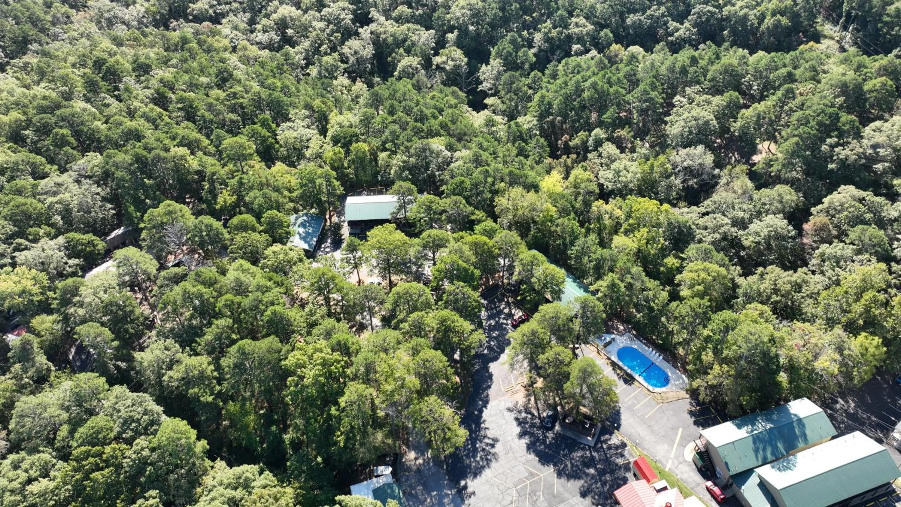 Spring in Traveler's Inn